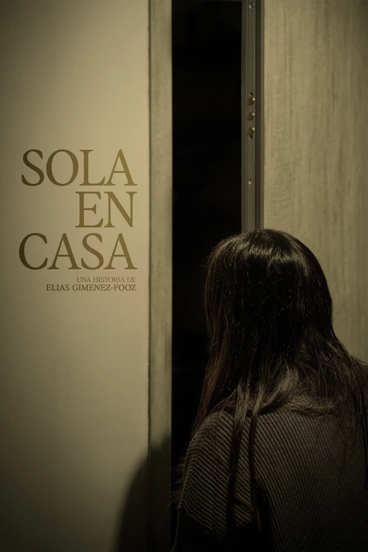 Постер к фильму "Sola En Casa"