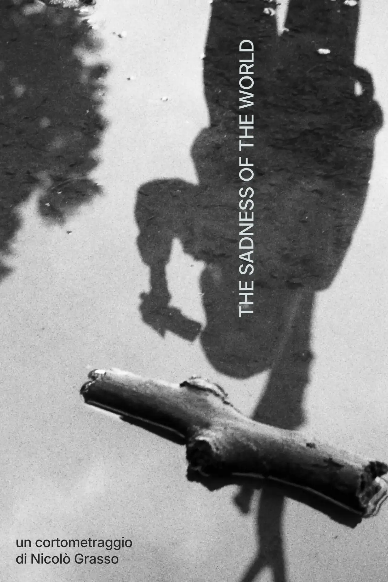 Постер к фильму "The Sadness of the World"