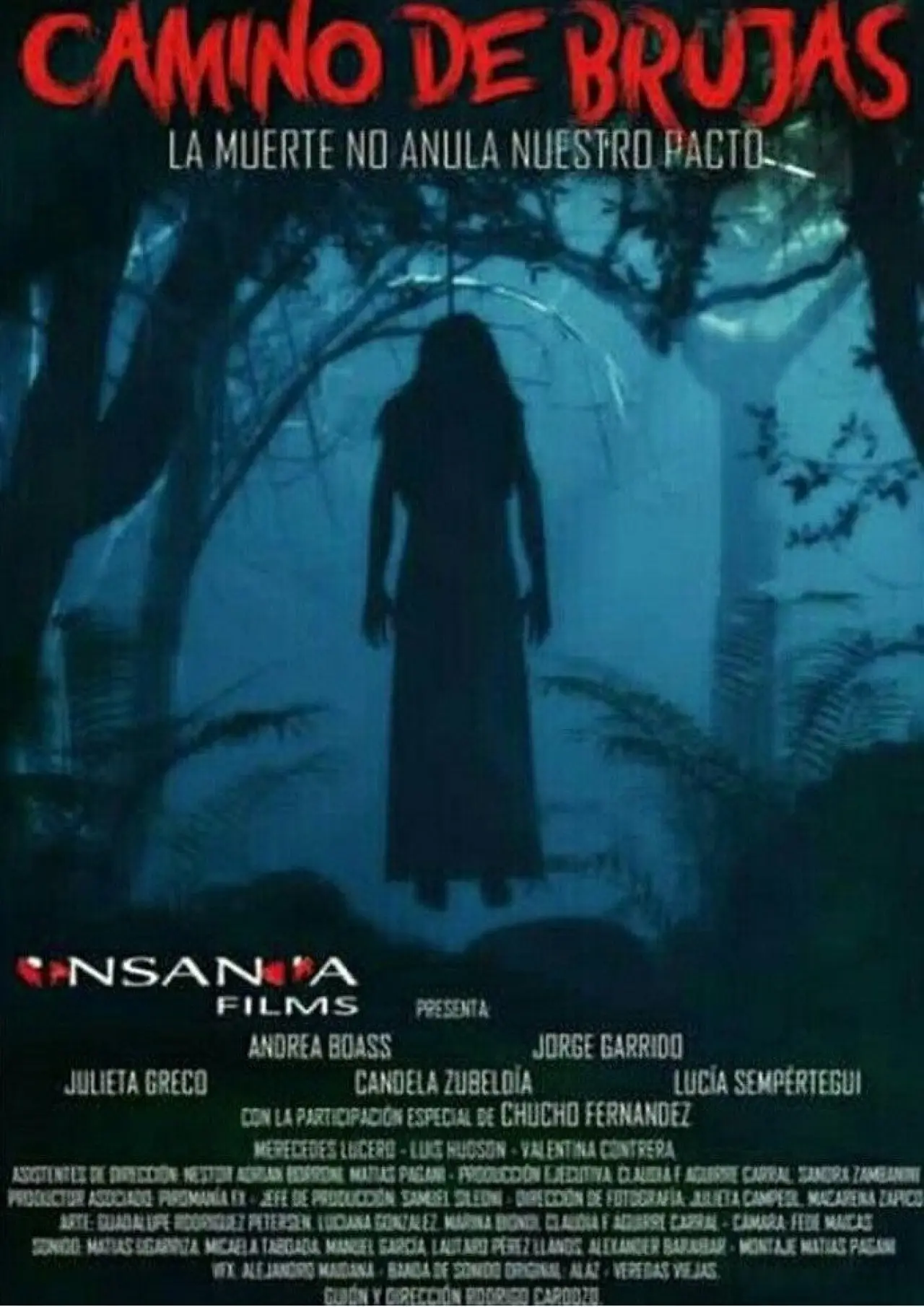 Постер к фильму "Camino de Brujas"