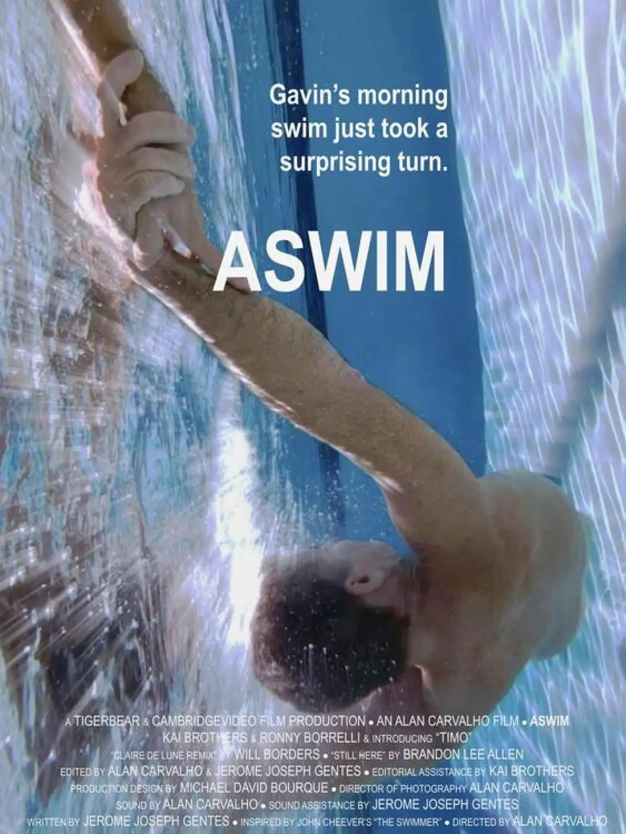 Постер к фильму "Aswim"