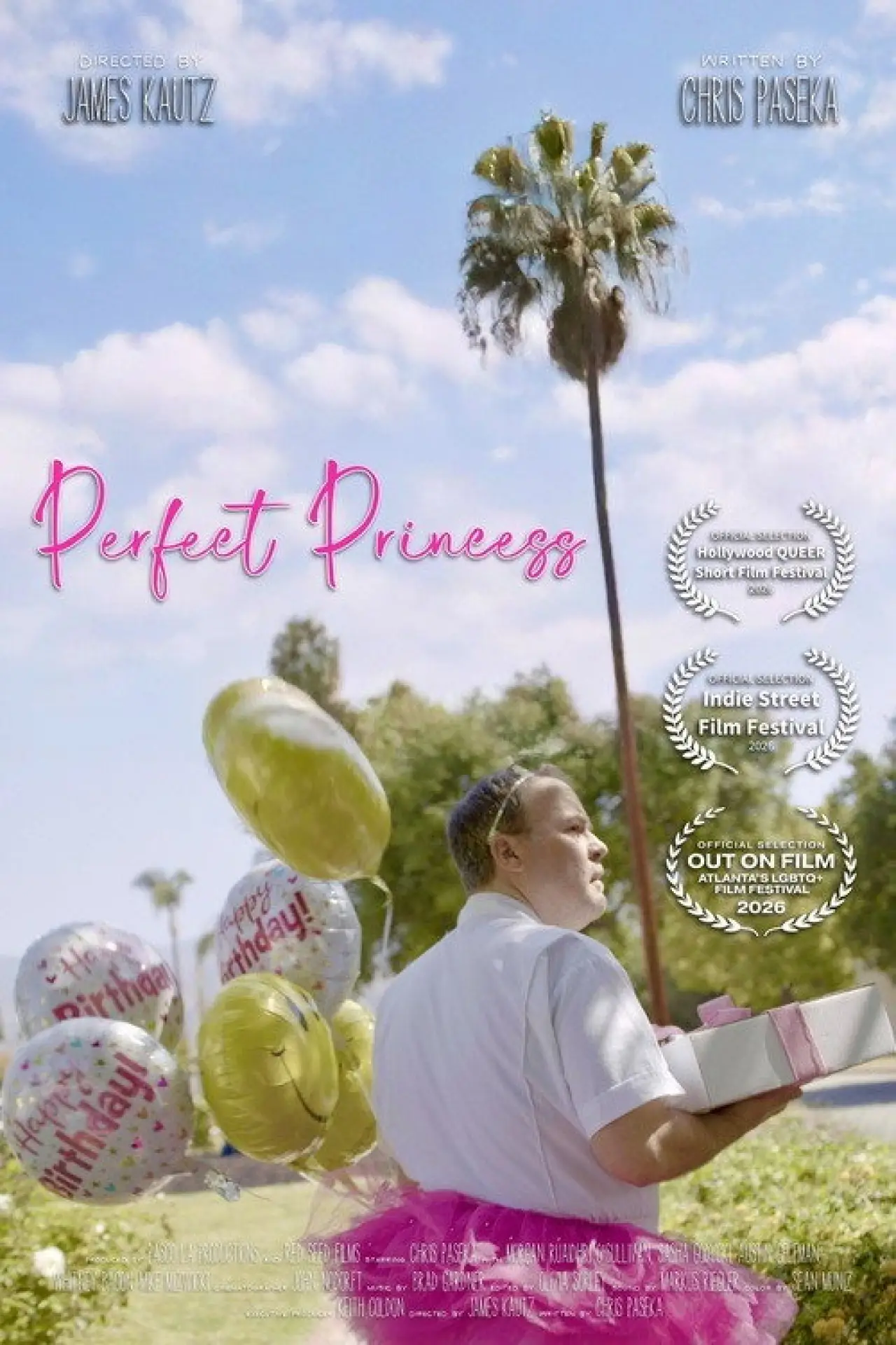 Постер к фильму "Perfect Princess"