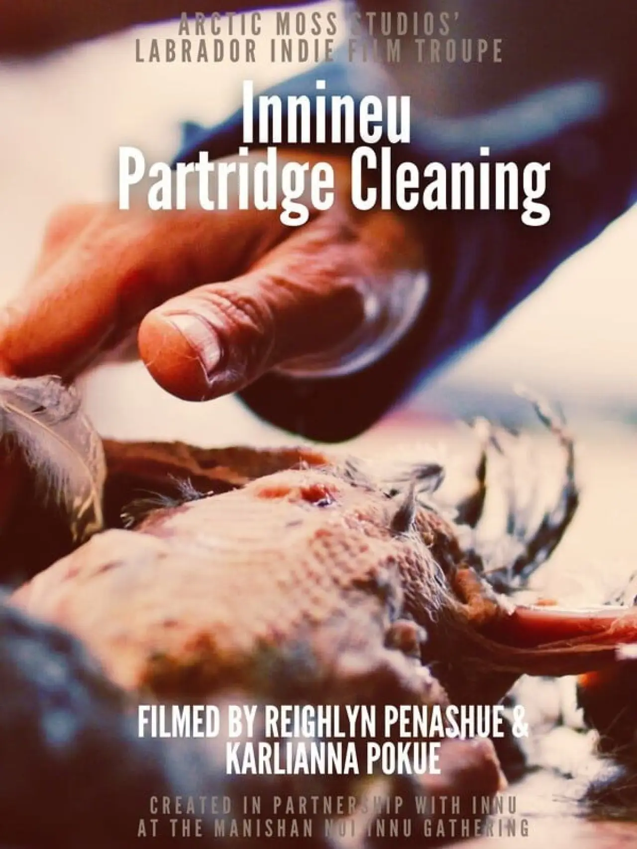 Постер к фильму "Preparing Innineu: Partridge Cleaning in Sheshatshiu"