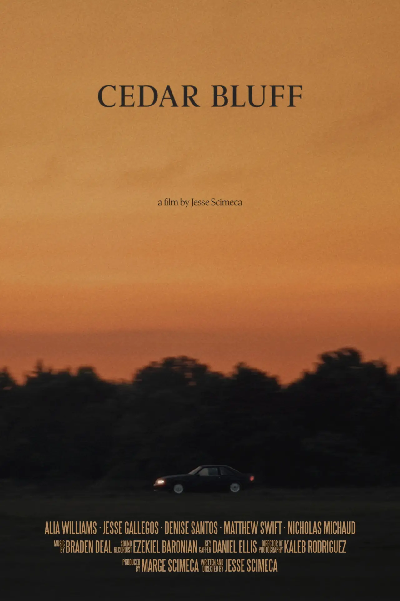 Постер к фильму "Cedar Bluff"