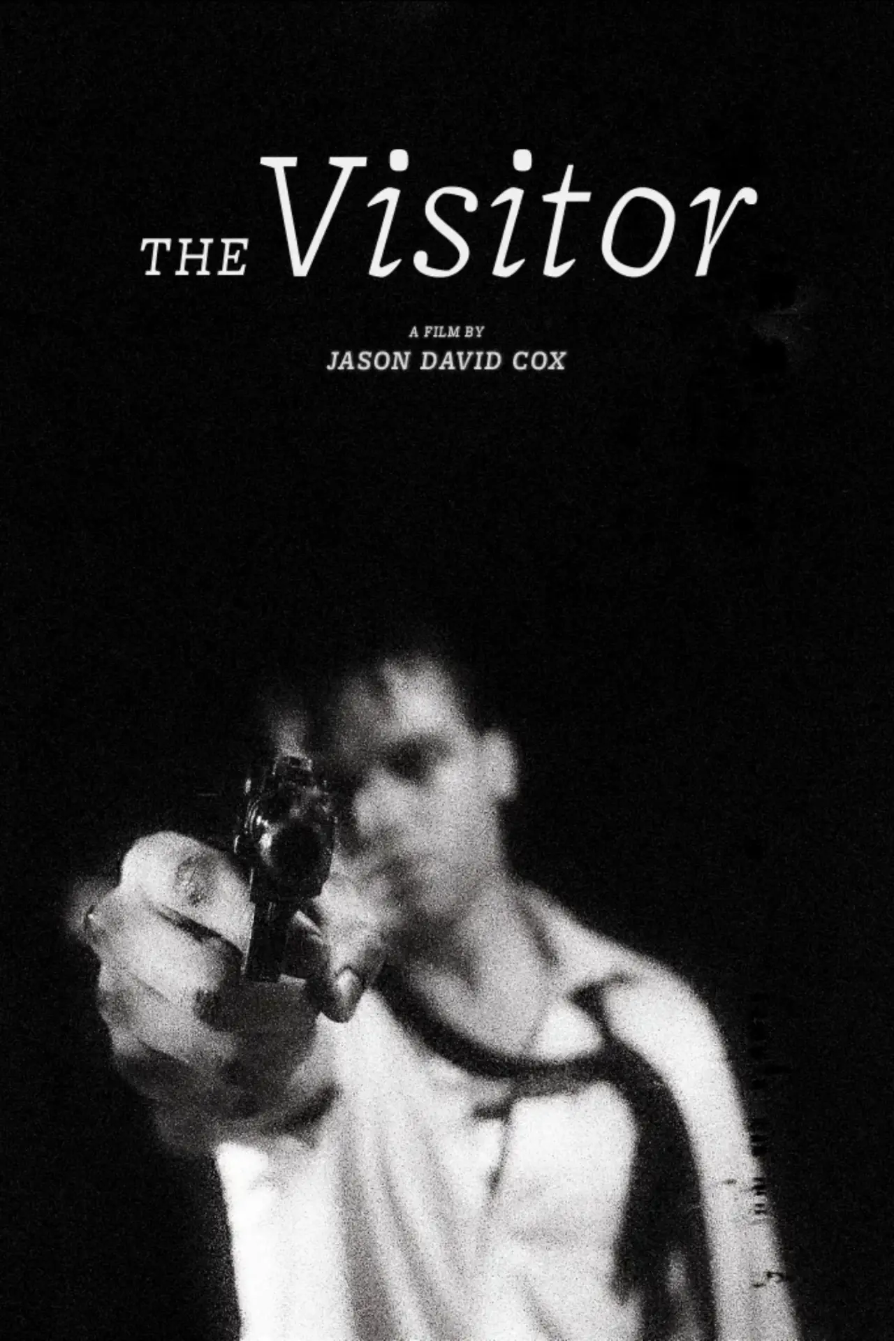 Постер к фильму "The Visitor"