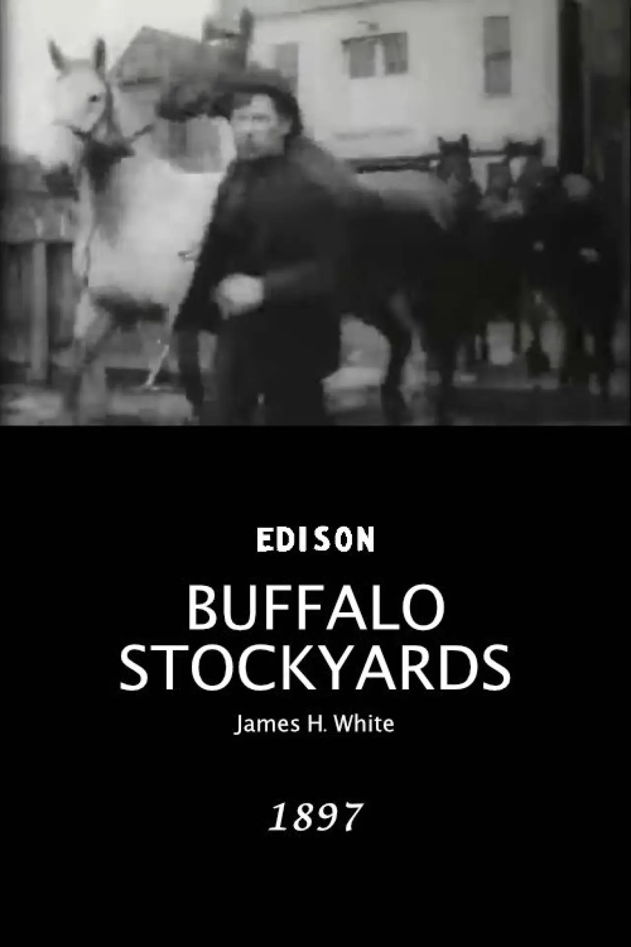 Постер к фильму "Buffalo Stockyards"