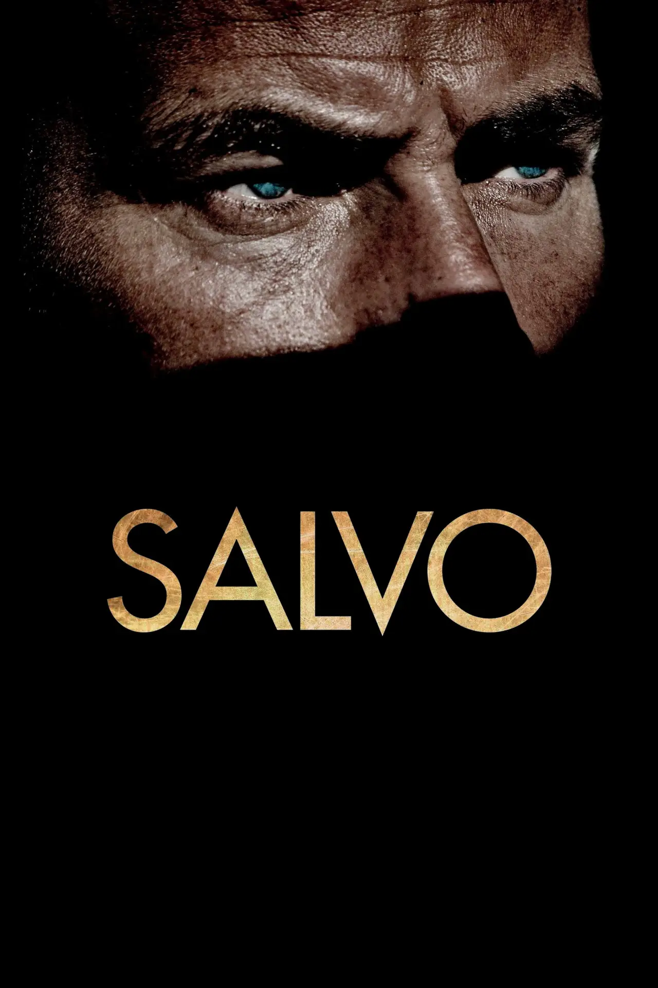 Постер к фильму "Сальво"