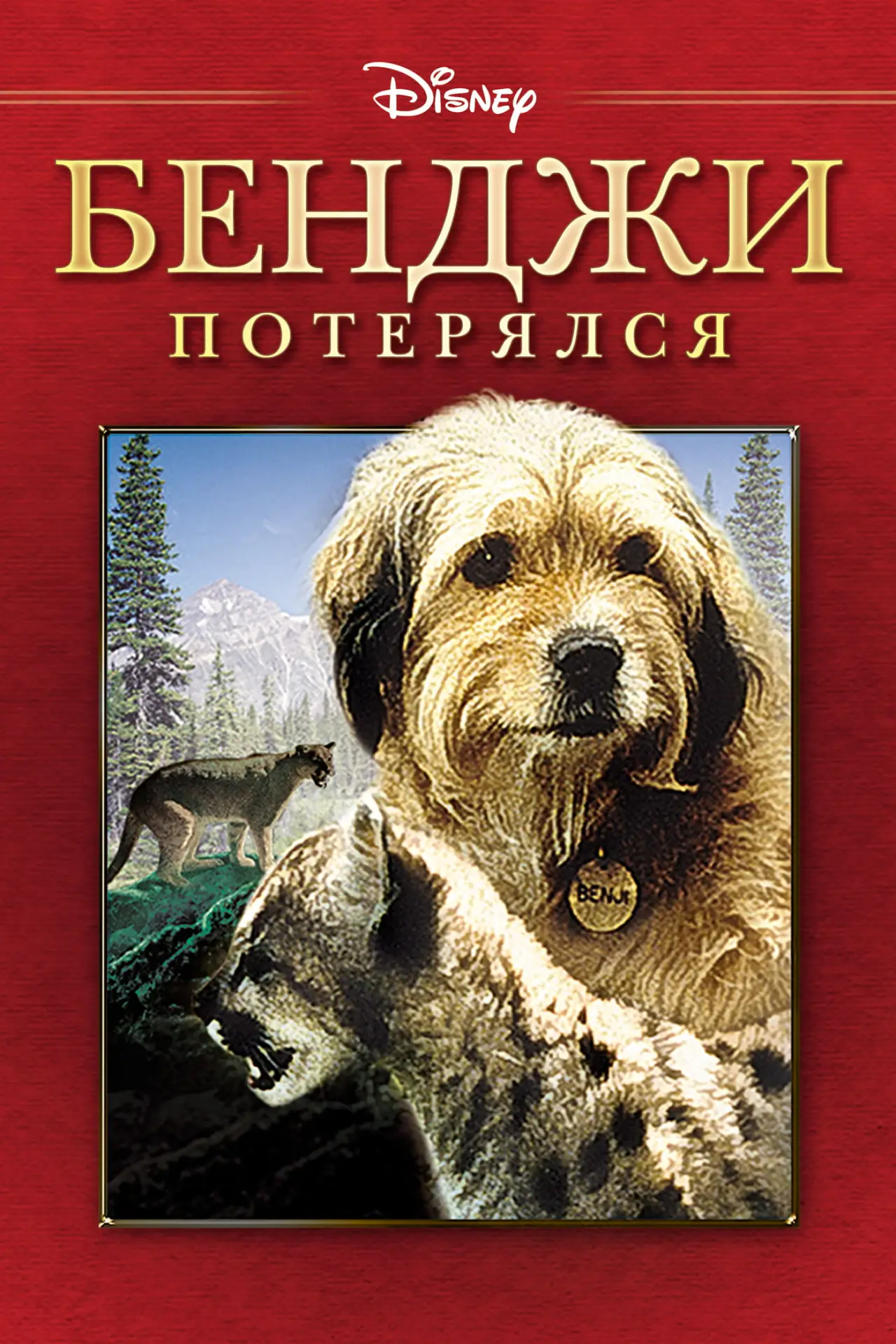 Постер к фильму "Бенджи потерялся"