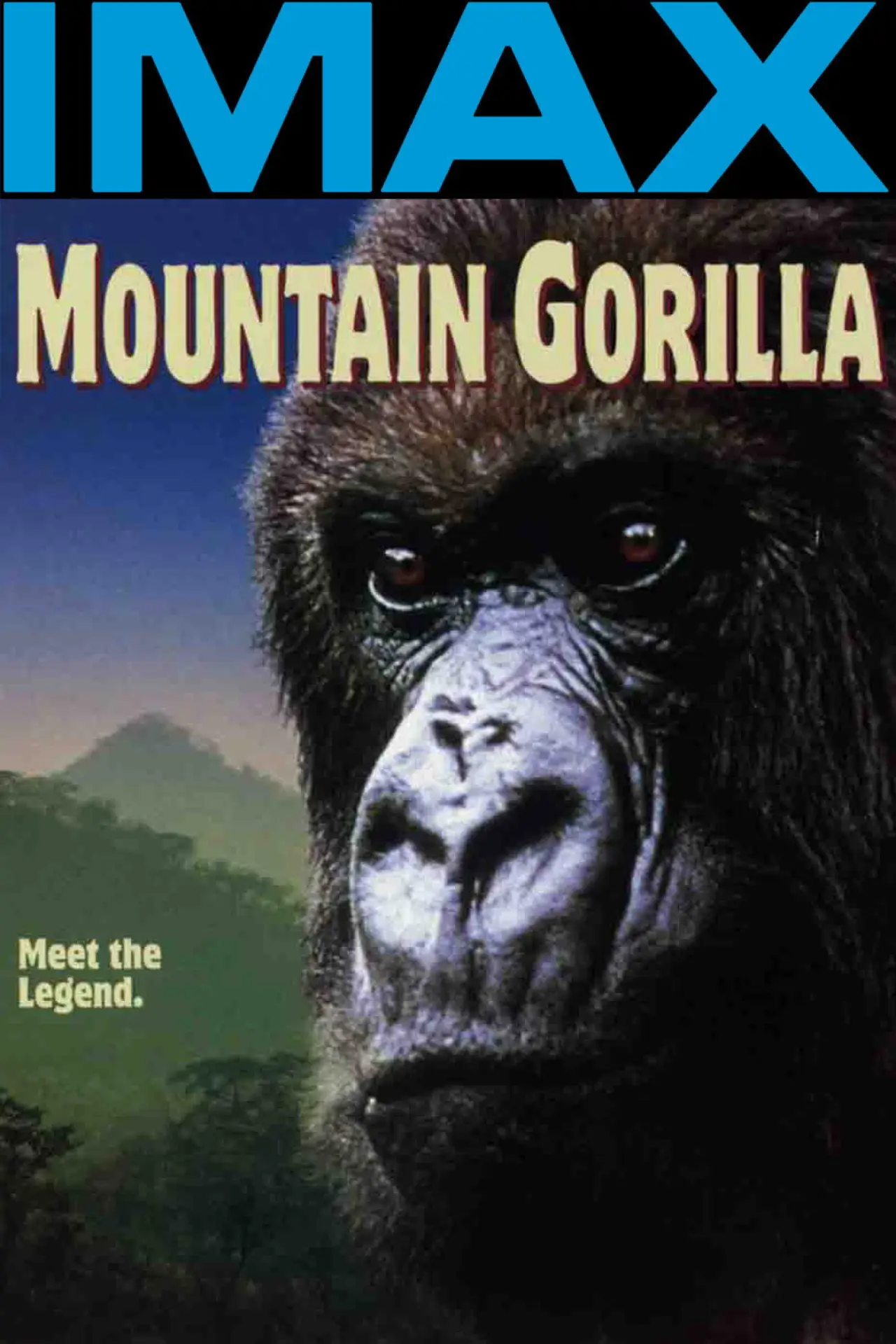 Постер к фильму "Mountain Gorilla"