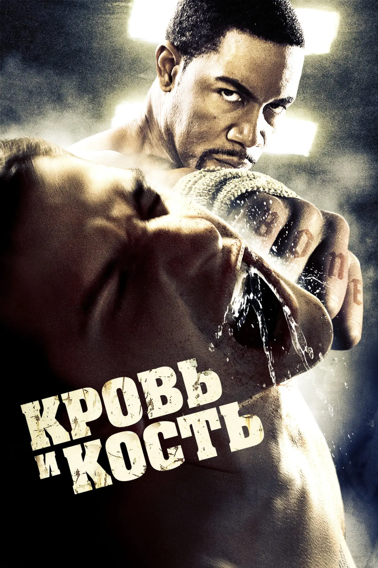 Постер к фильму "Кровь и кость"