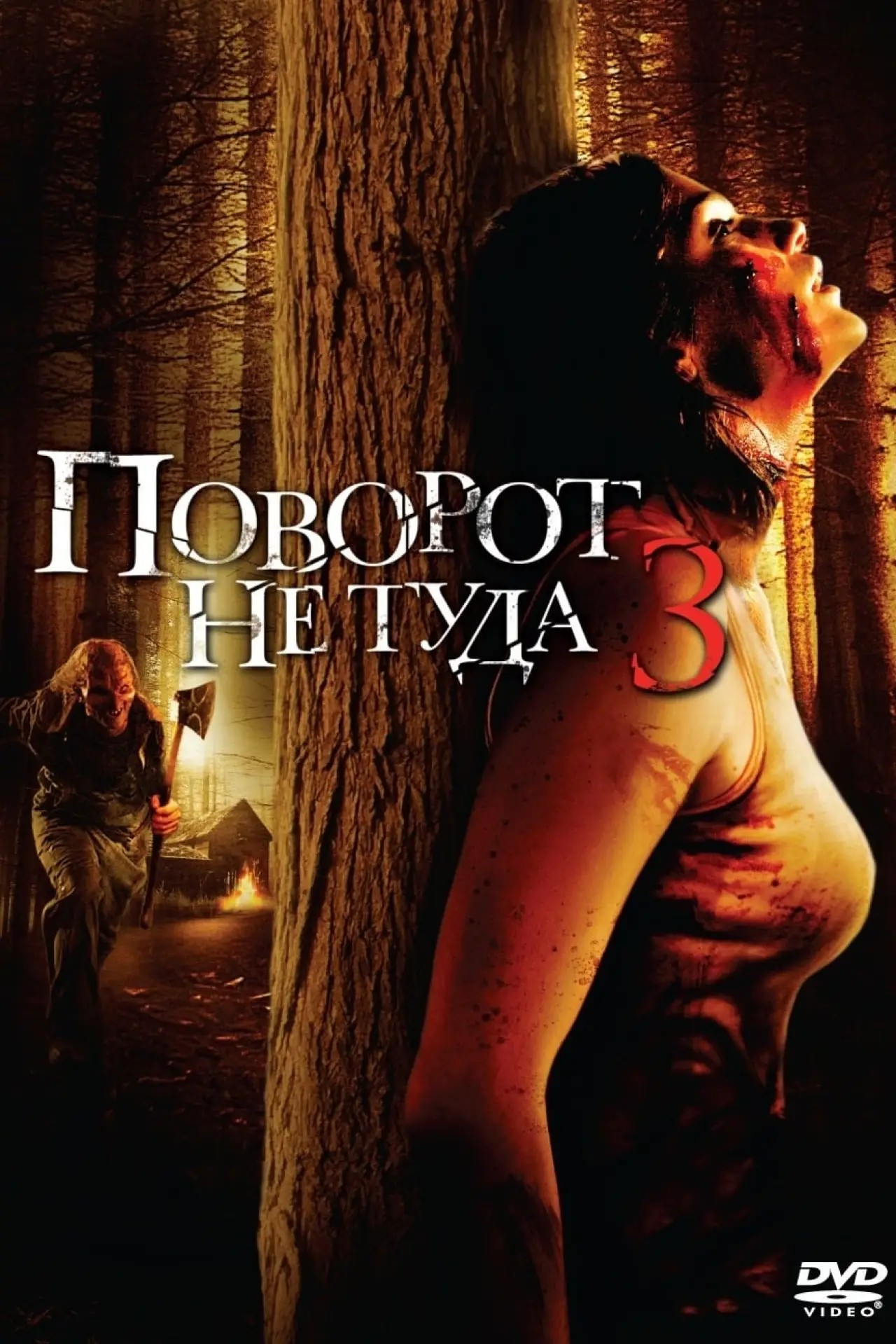 Постер к фильму "Поворот не туда 3"