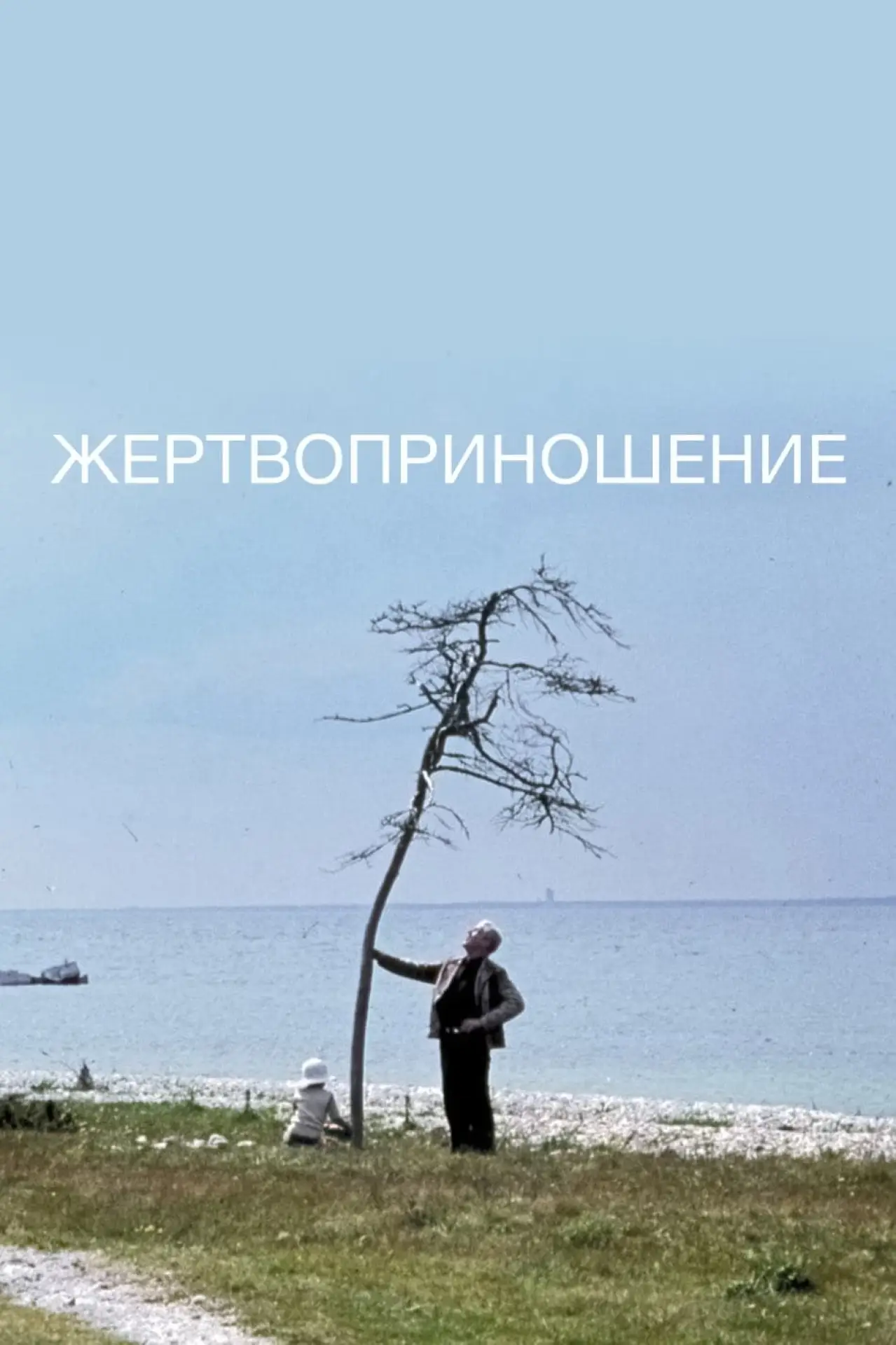 Постер к фильму "Жертвоприношение"
