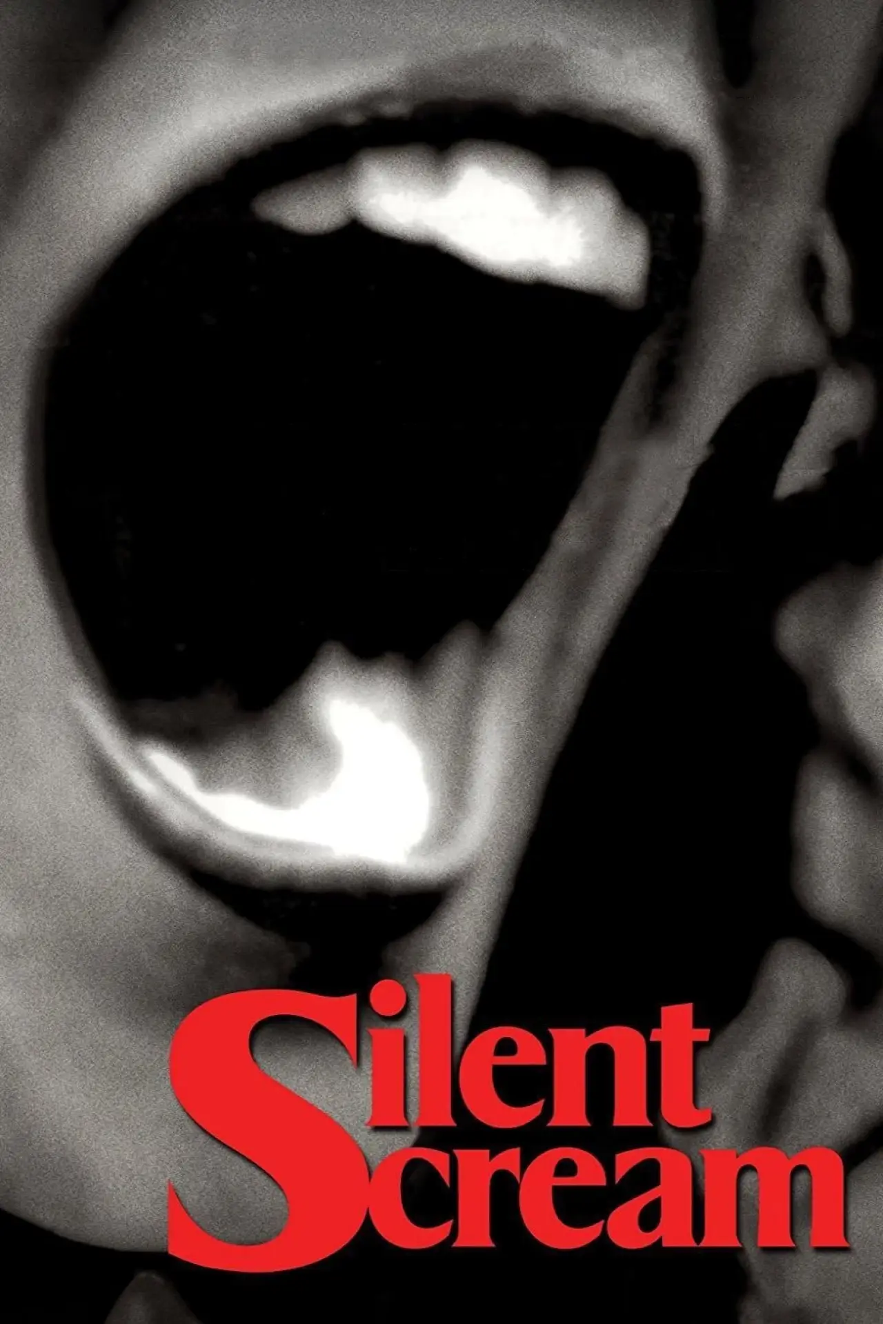 Постер к фильму "Silent Scream"