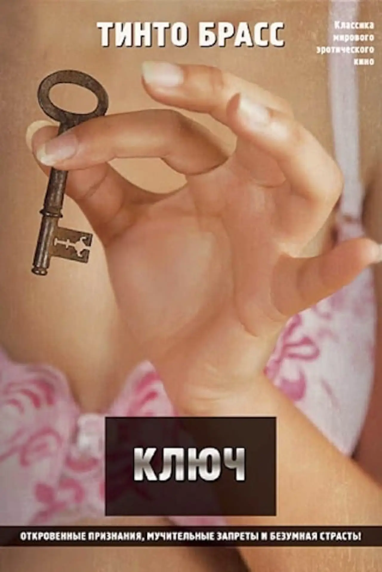 Постер к фильму "Ключ"