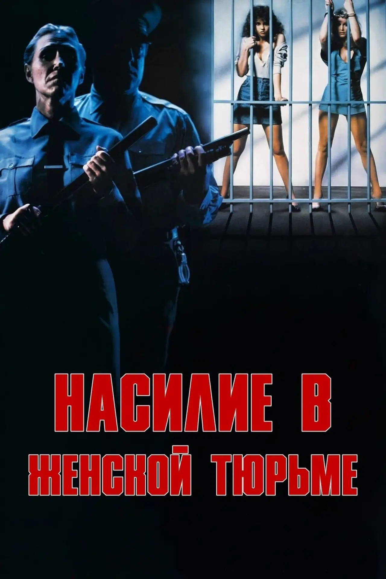 Постер к фильму "Насилие в женской тюрьме"