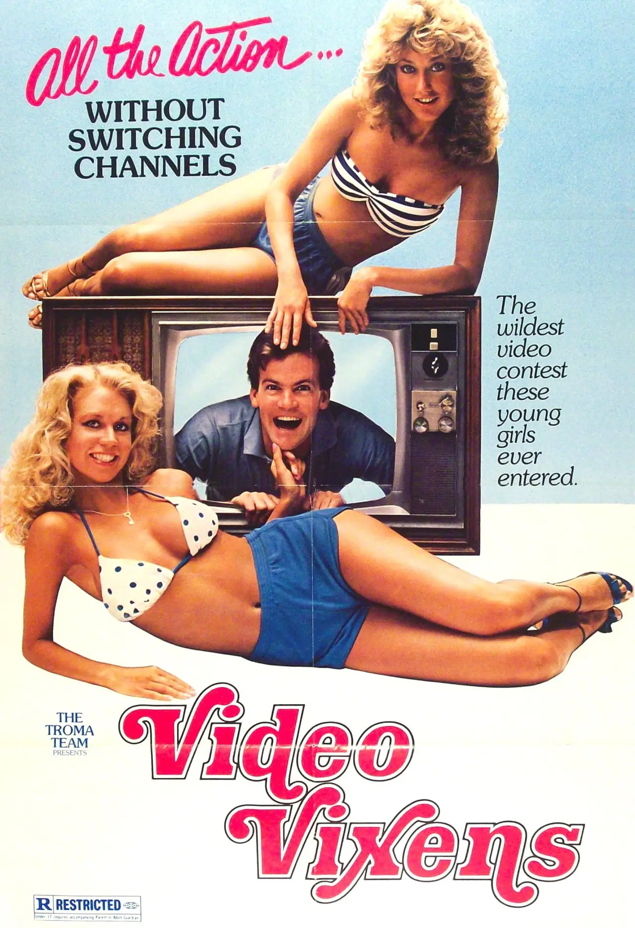 Постер к фильму "Video Vixens!"