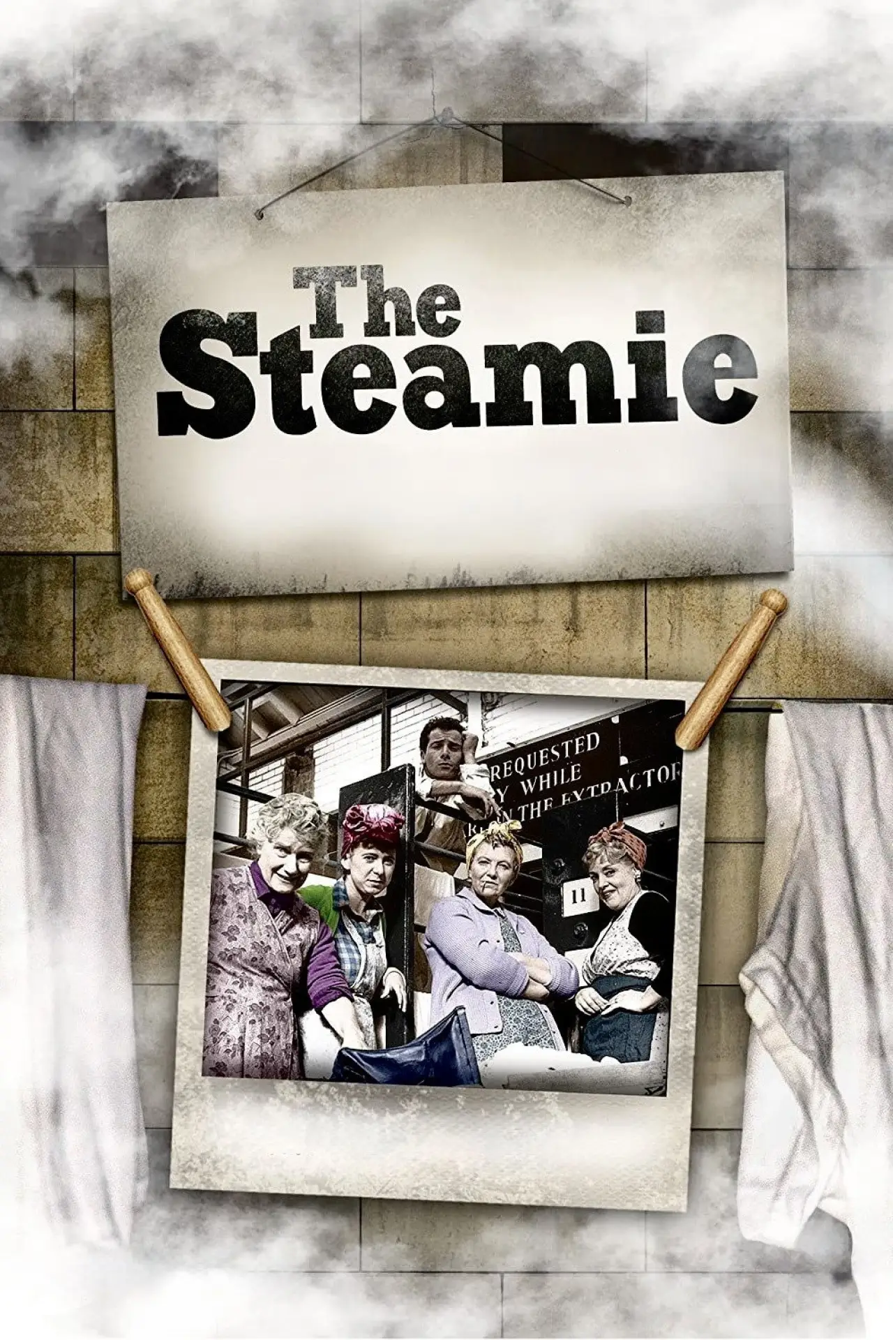 Постер к фильму "The Steamie"