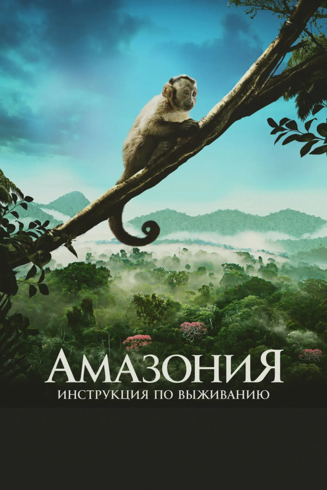 Постер к фильму "Амазония: Инструкция по выживанию"