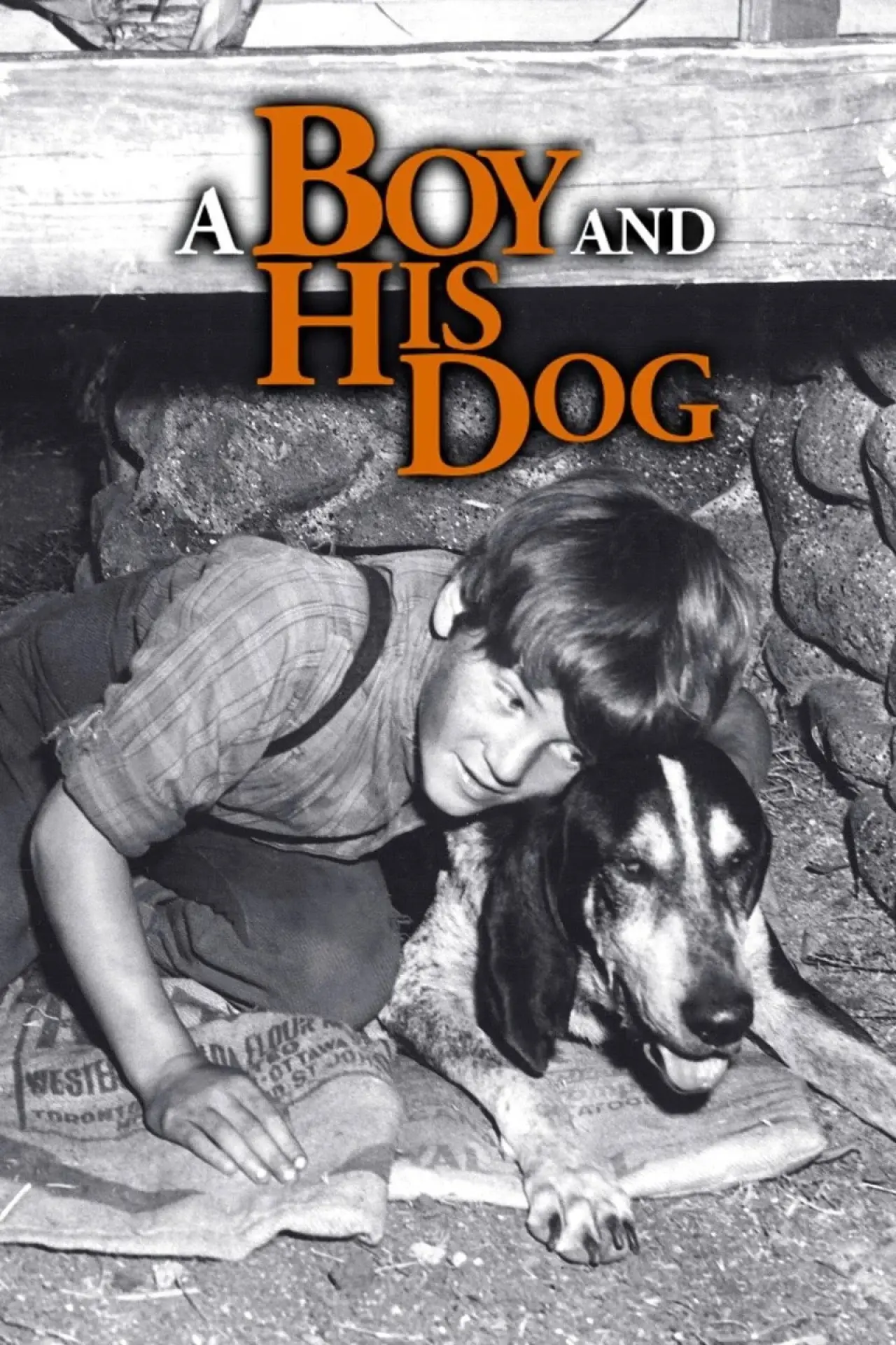Постер к фильму "A Boy and His Dog"