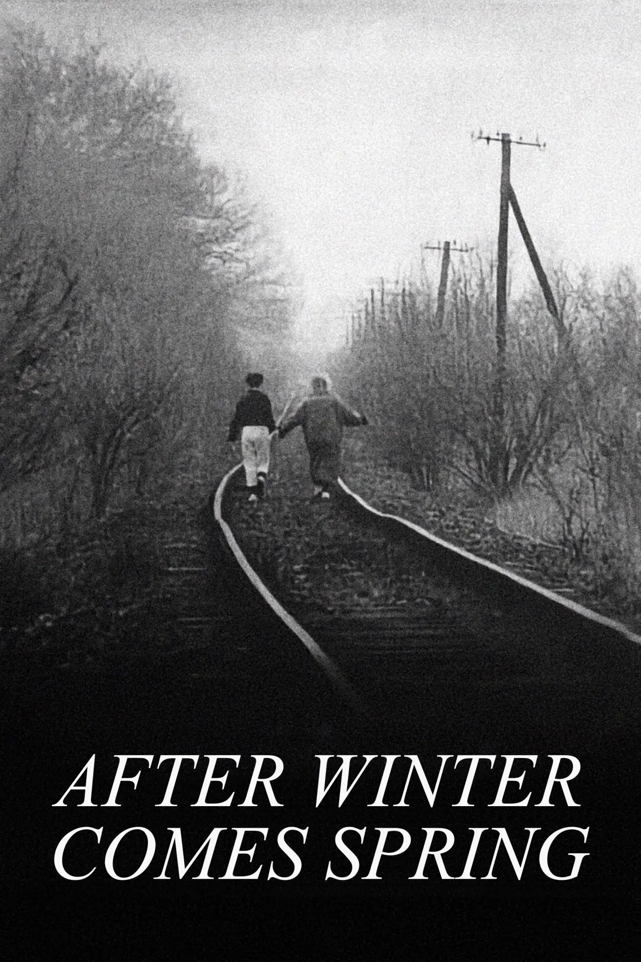 Постер к фильму "Winter adé"