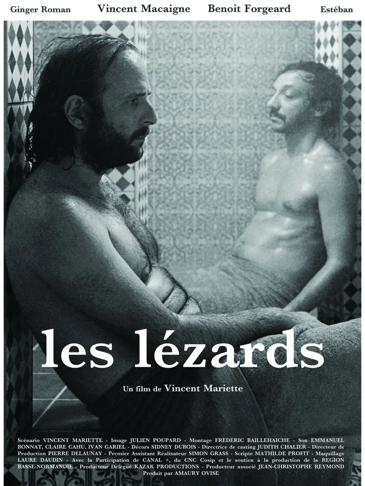 Постер к фильму "The Lizards"
