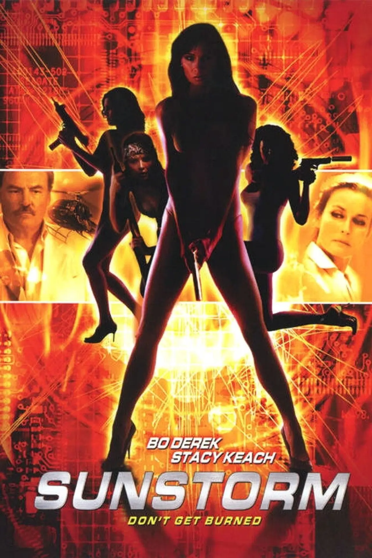 Постер к фильму "Sunstorm"
