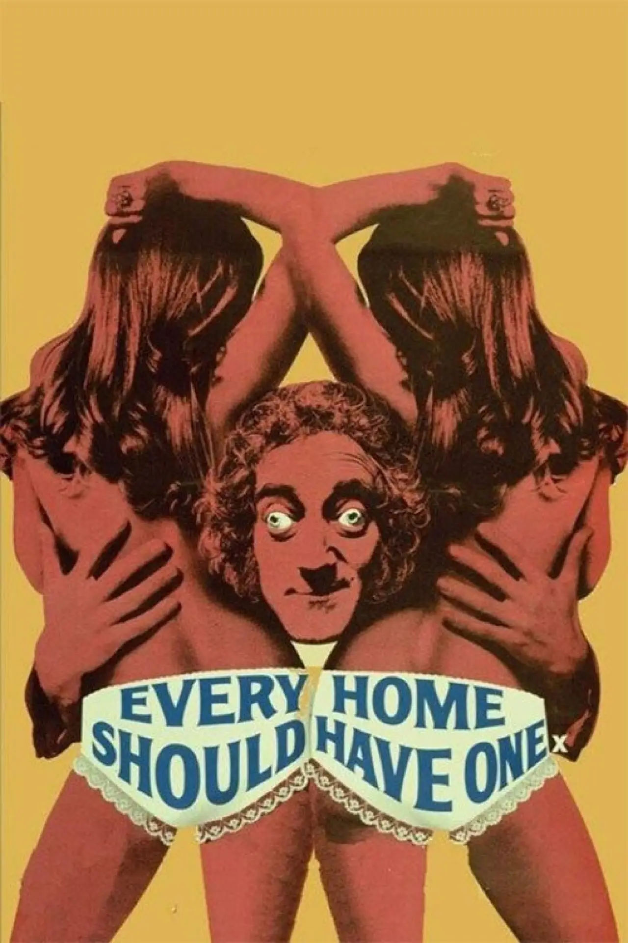 Постер к фильму "Every Home Should Have One"