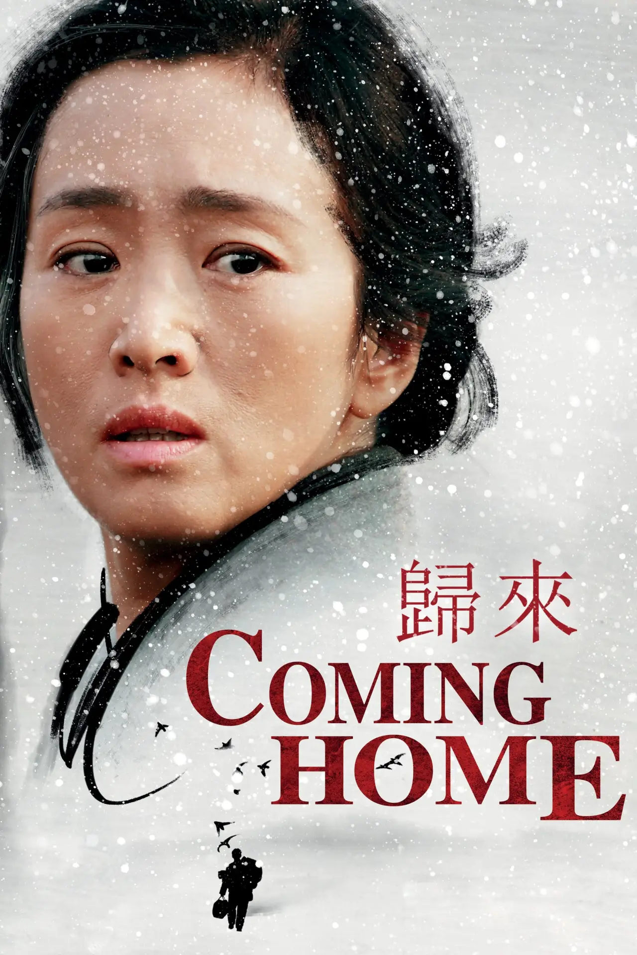 Постер к фильму "Возвращение домой"
