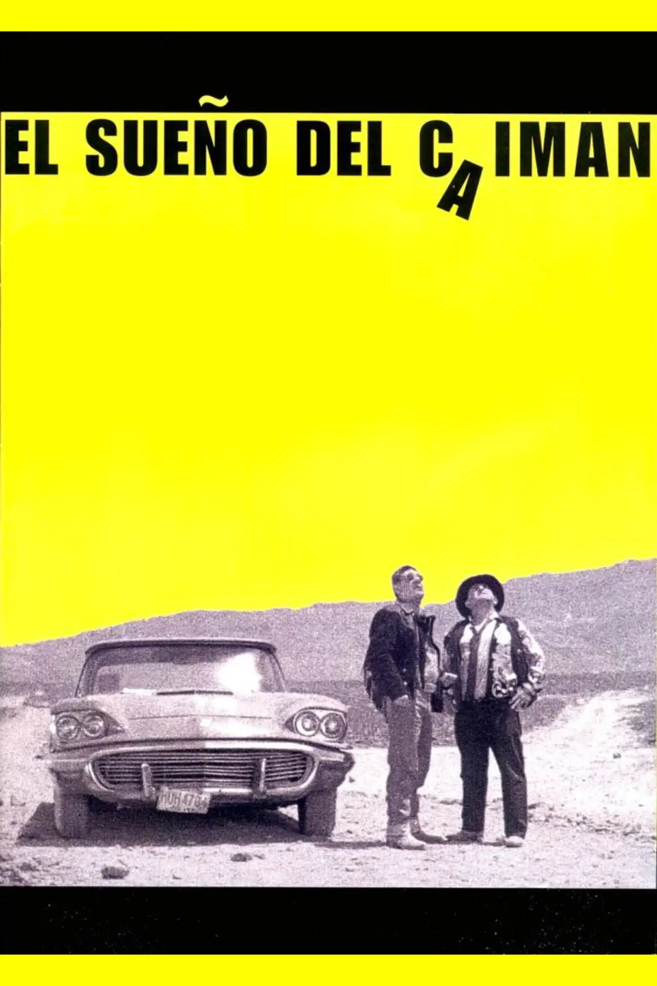 Постер к фильму "El sueño del caimán"