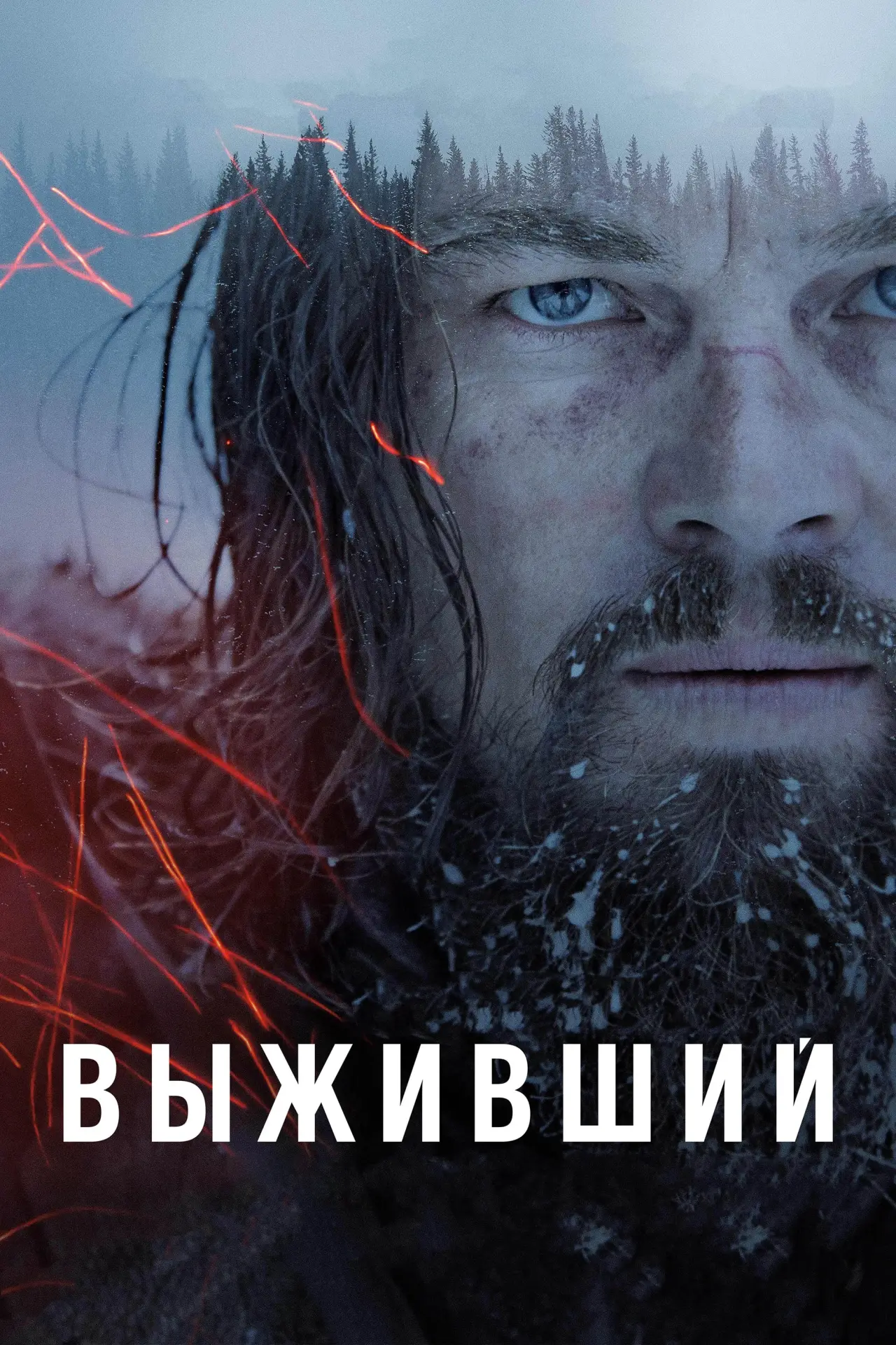 Постер к фильму "Выживший"
