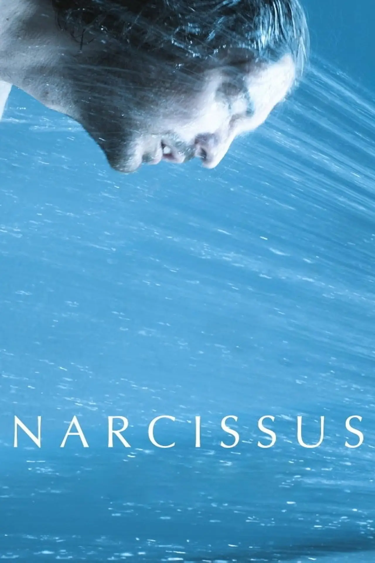 Постер к фильму "Narcizas"