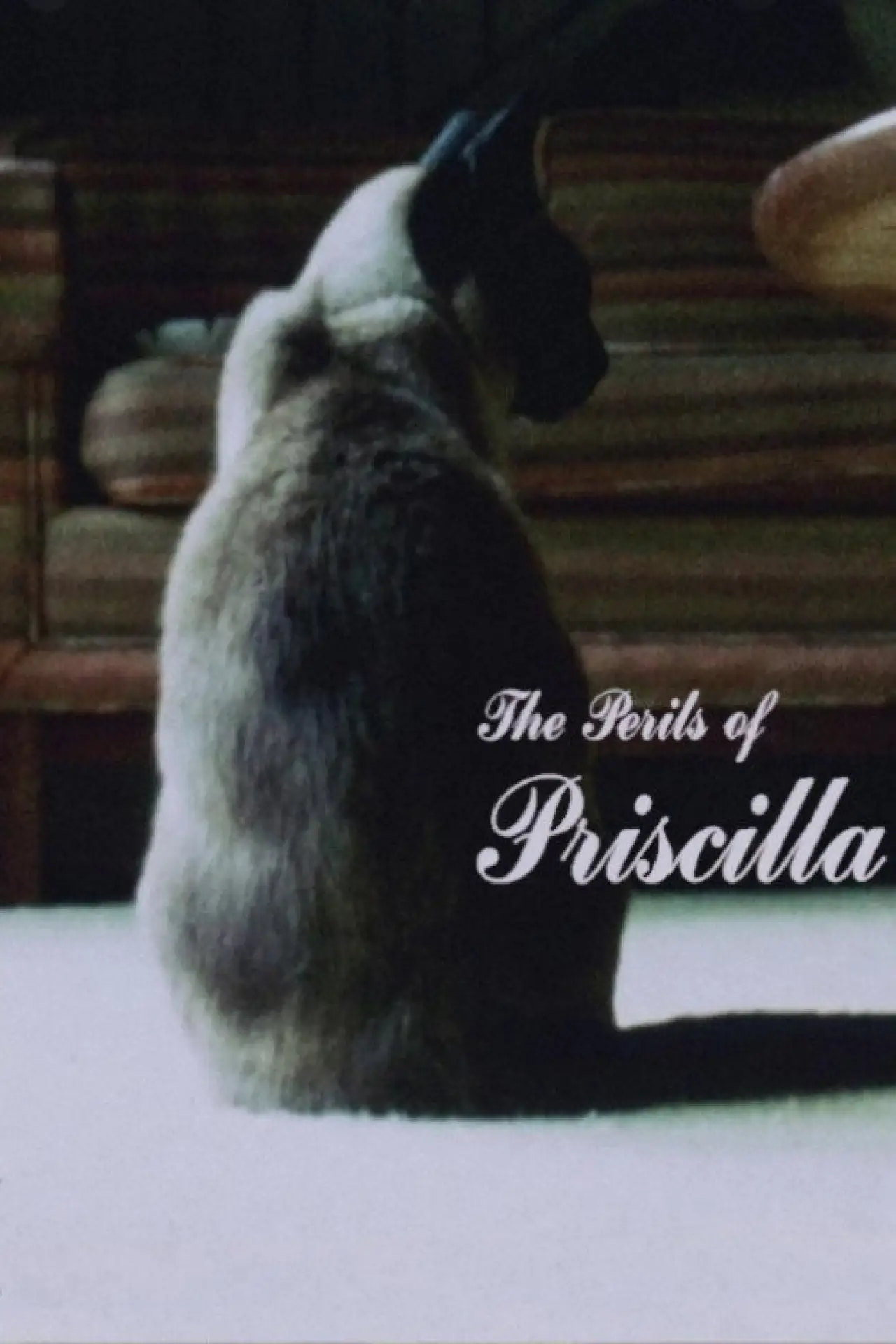 Постер к фильму "The Perils of Priscilla"