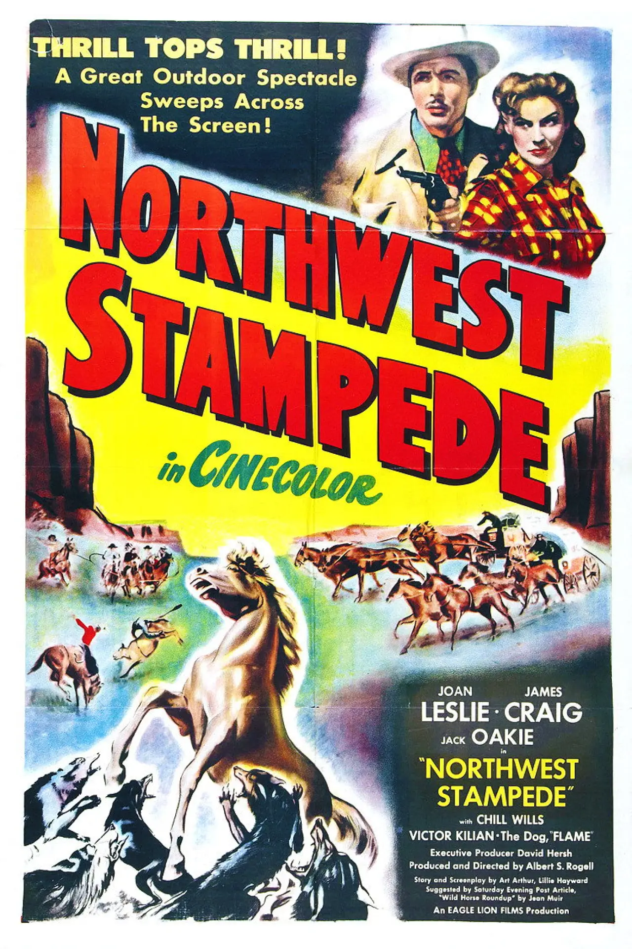 Постер к фильму "Northwest Stampede"