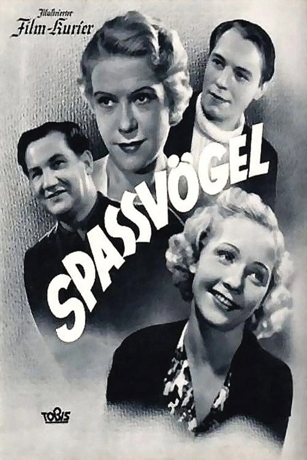 Постер к фильму "Spaßvögel"