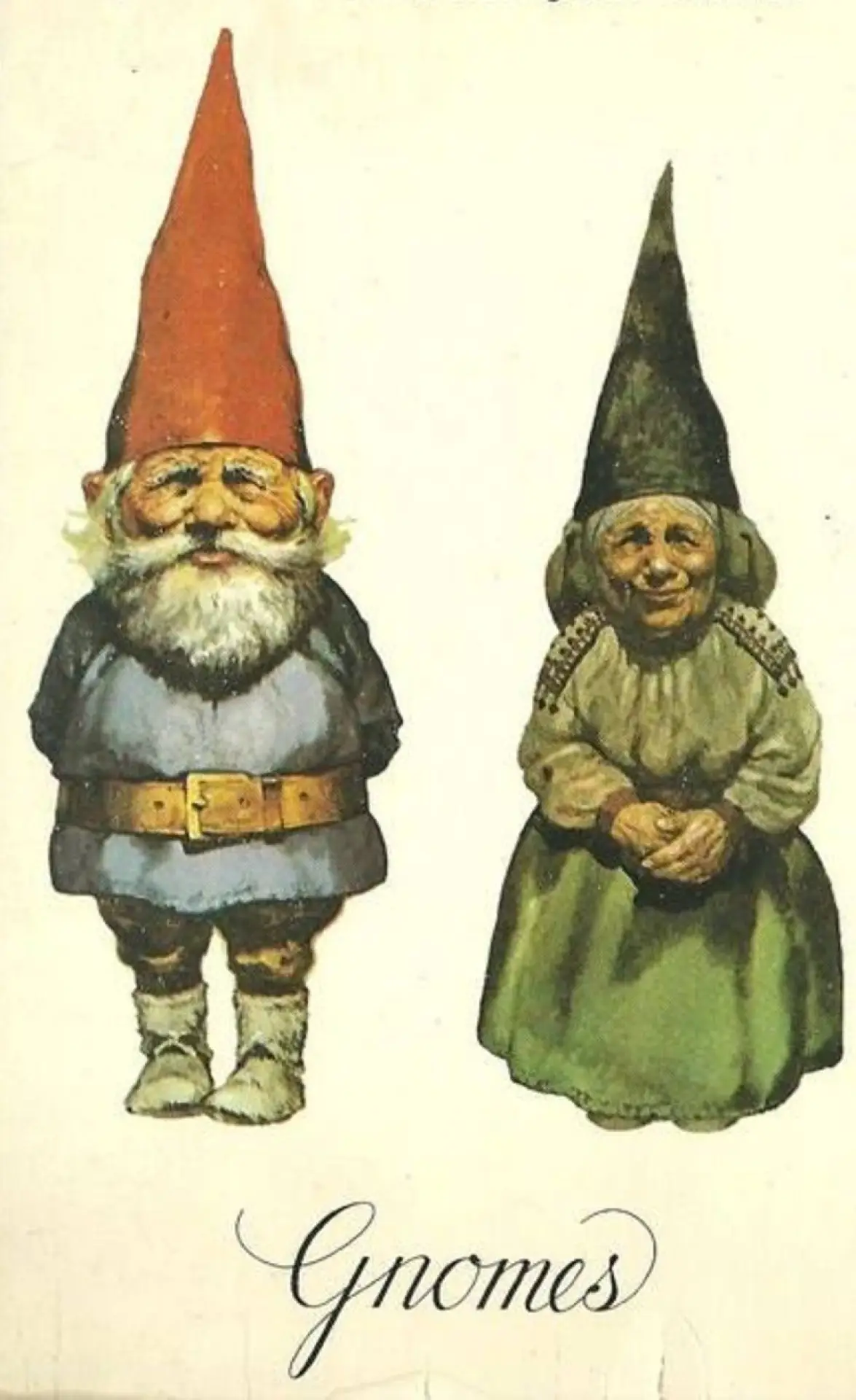 Постер к фильму "Gnomes"