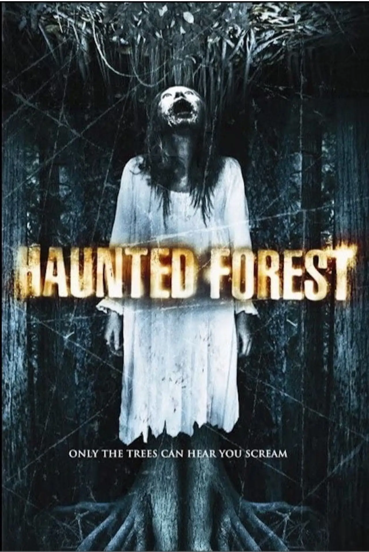 Постер к фильму "Haunted Forest"