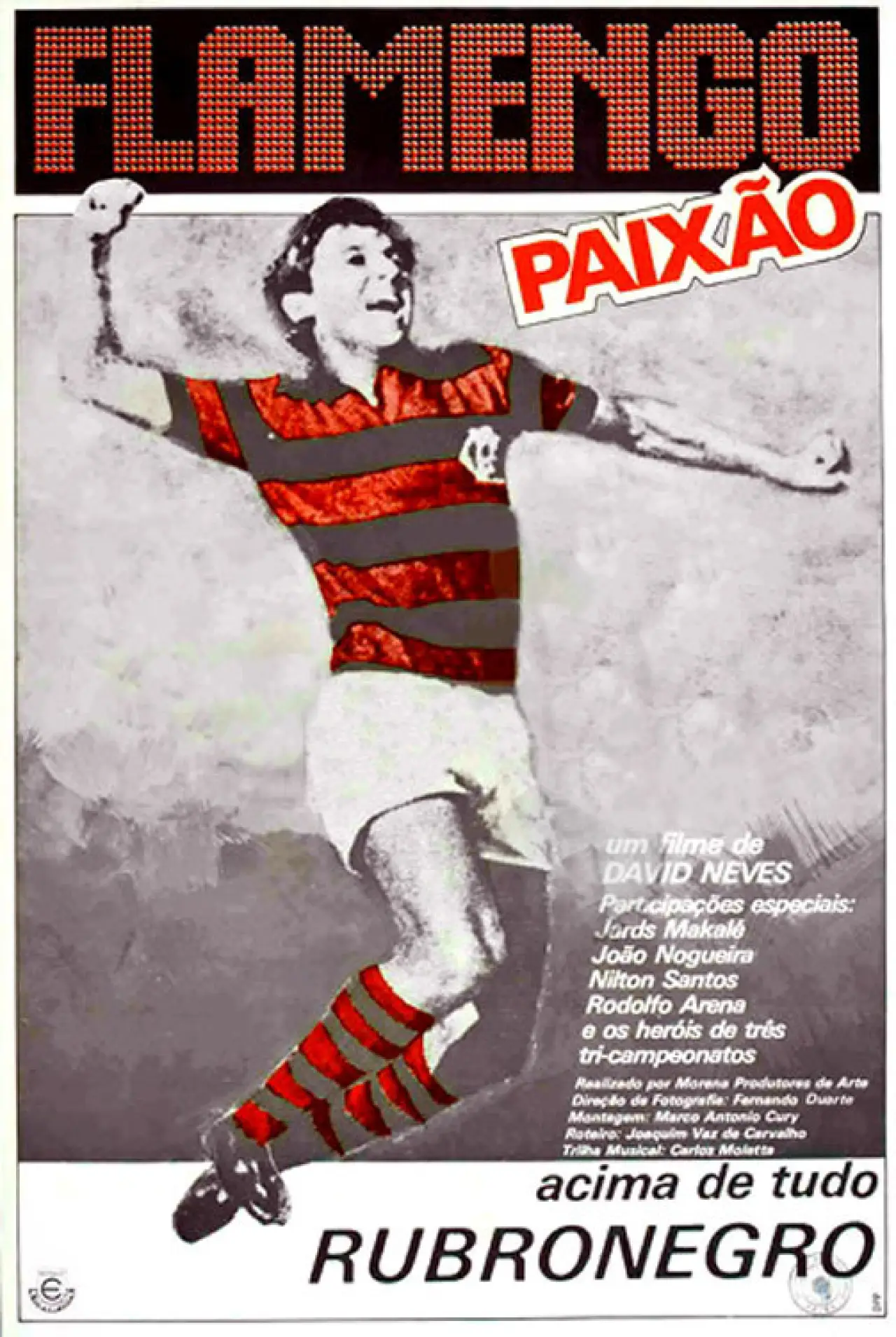 Постер к фильму "Flamengo Paixão"