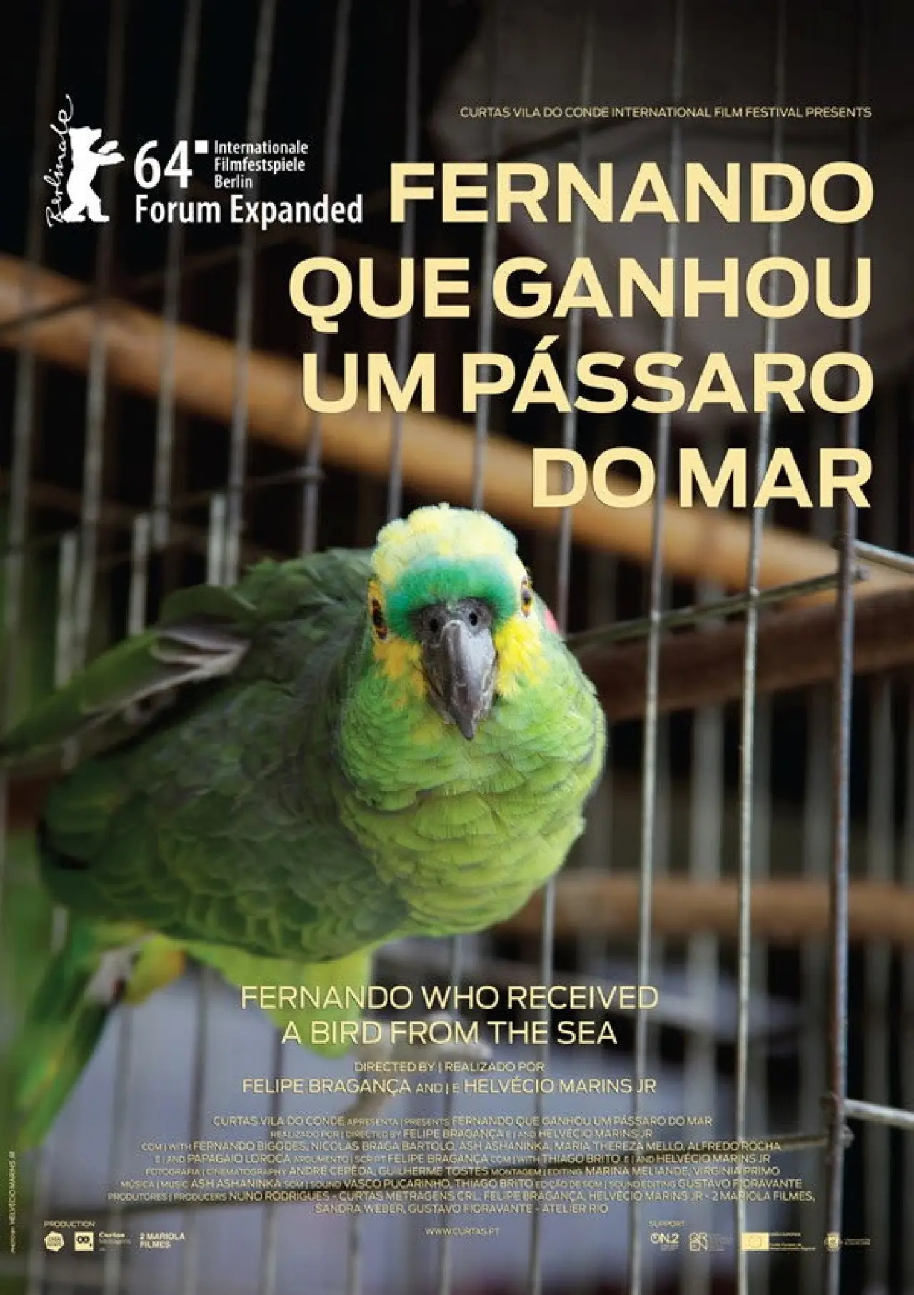 Постер к фильму "Fernando que Ganhou um Pássaro do Mar"