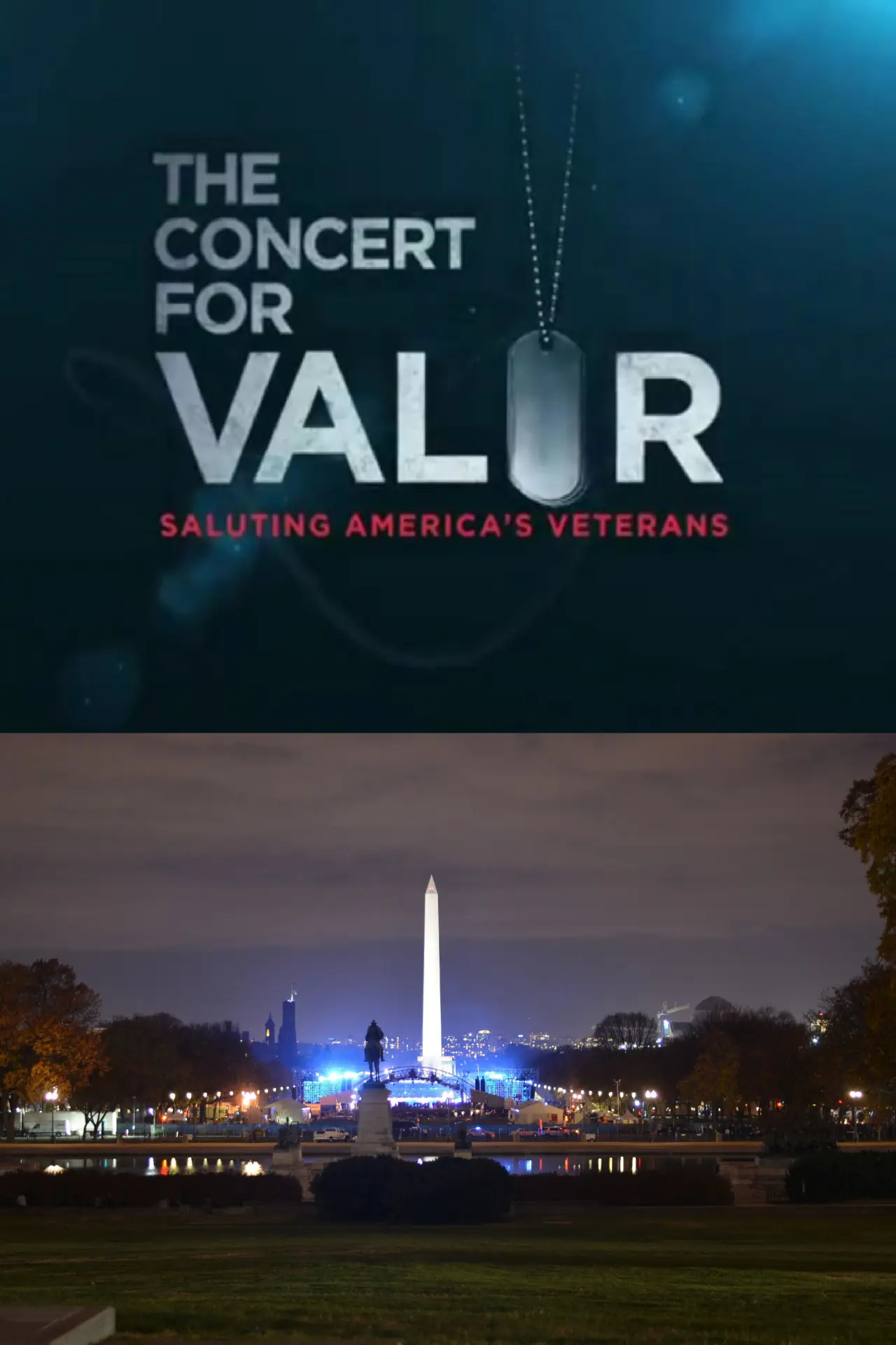 Постер к фильму "The Concert for Valor"