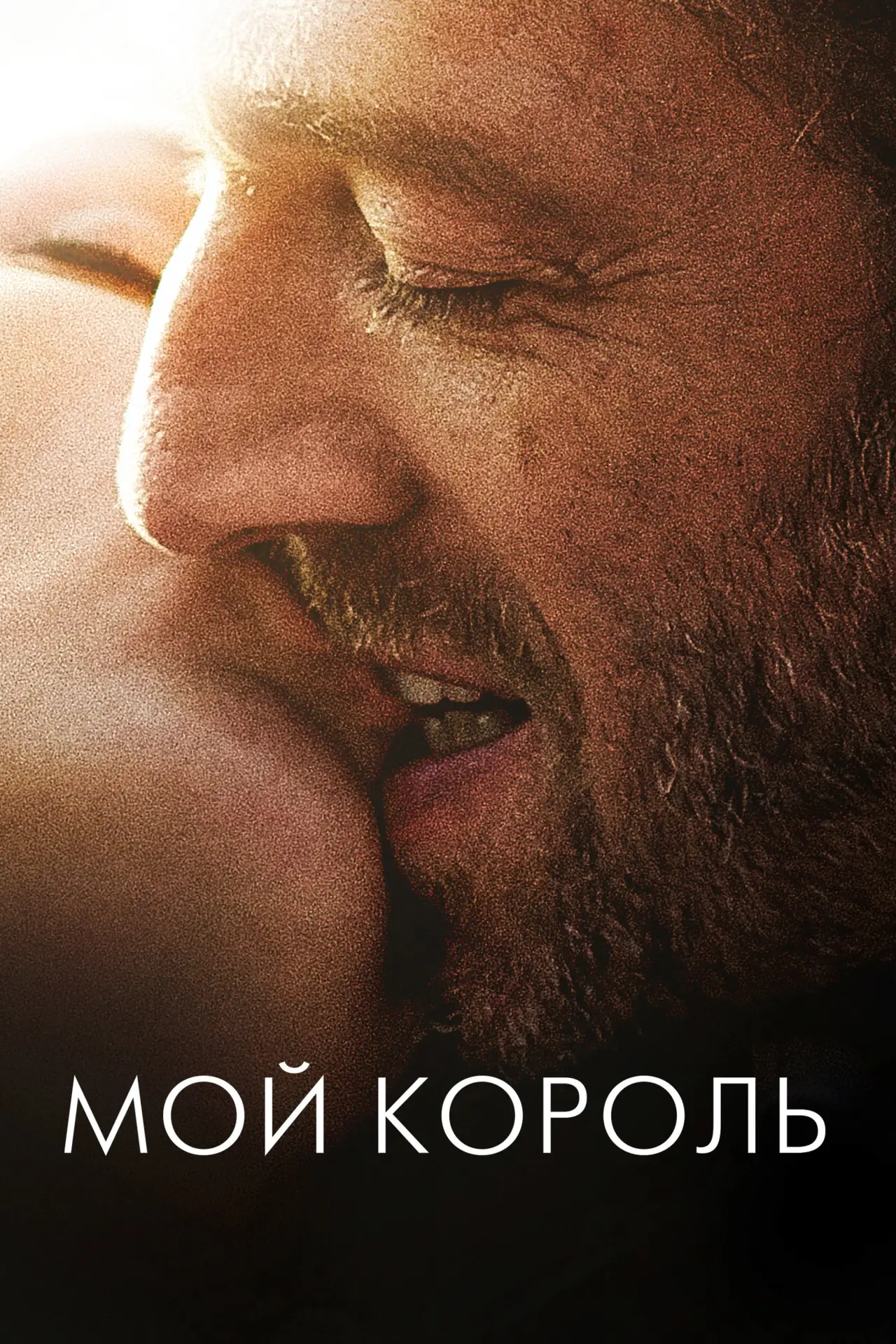 Постер к фильму "Мой король"