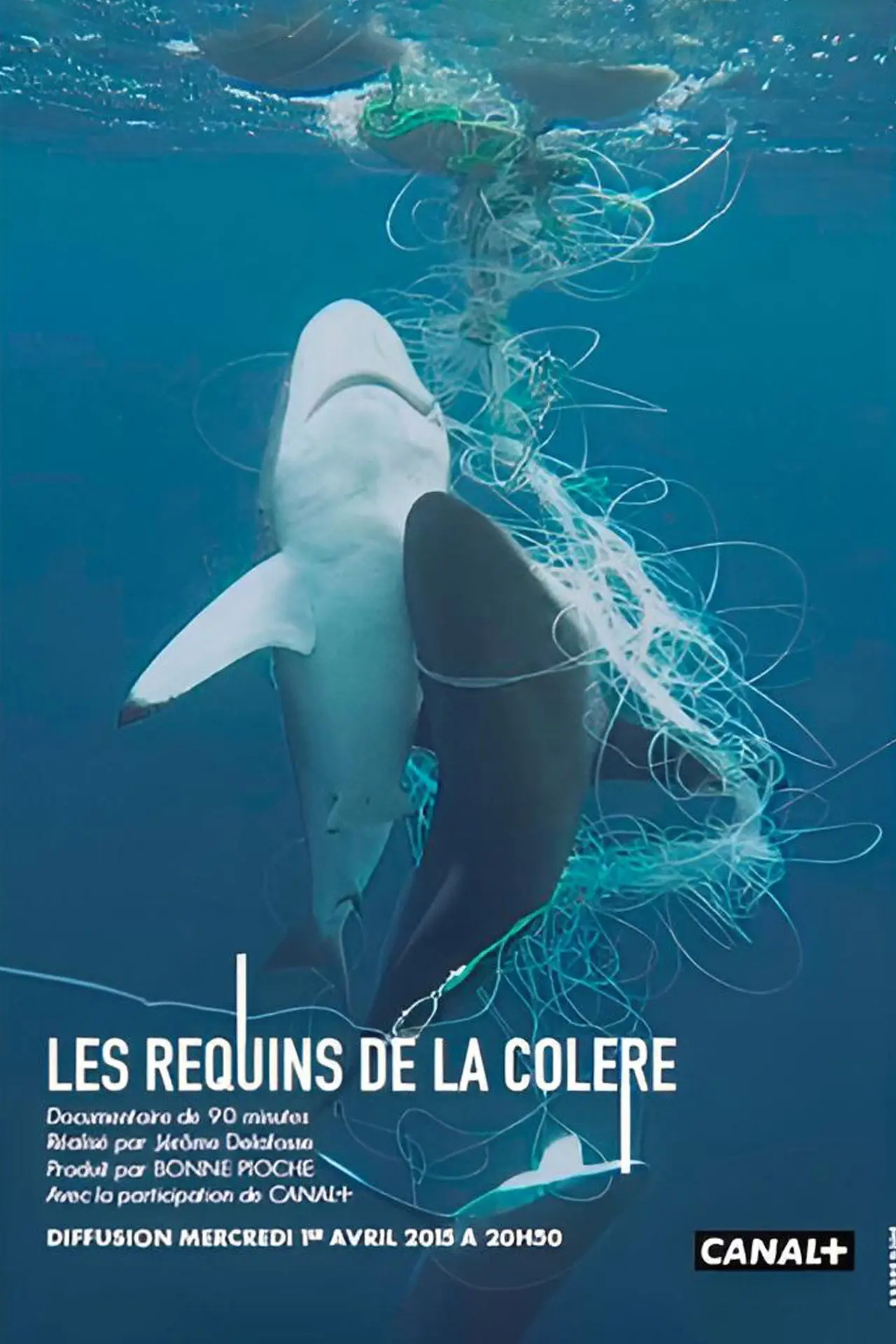 Постер к фильму "Les Requins de la Colère"
