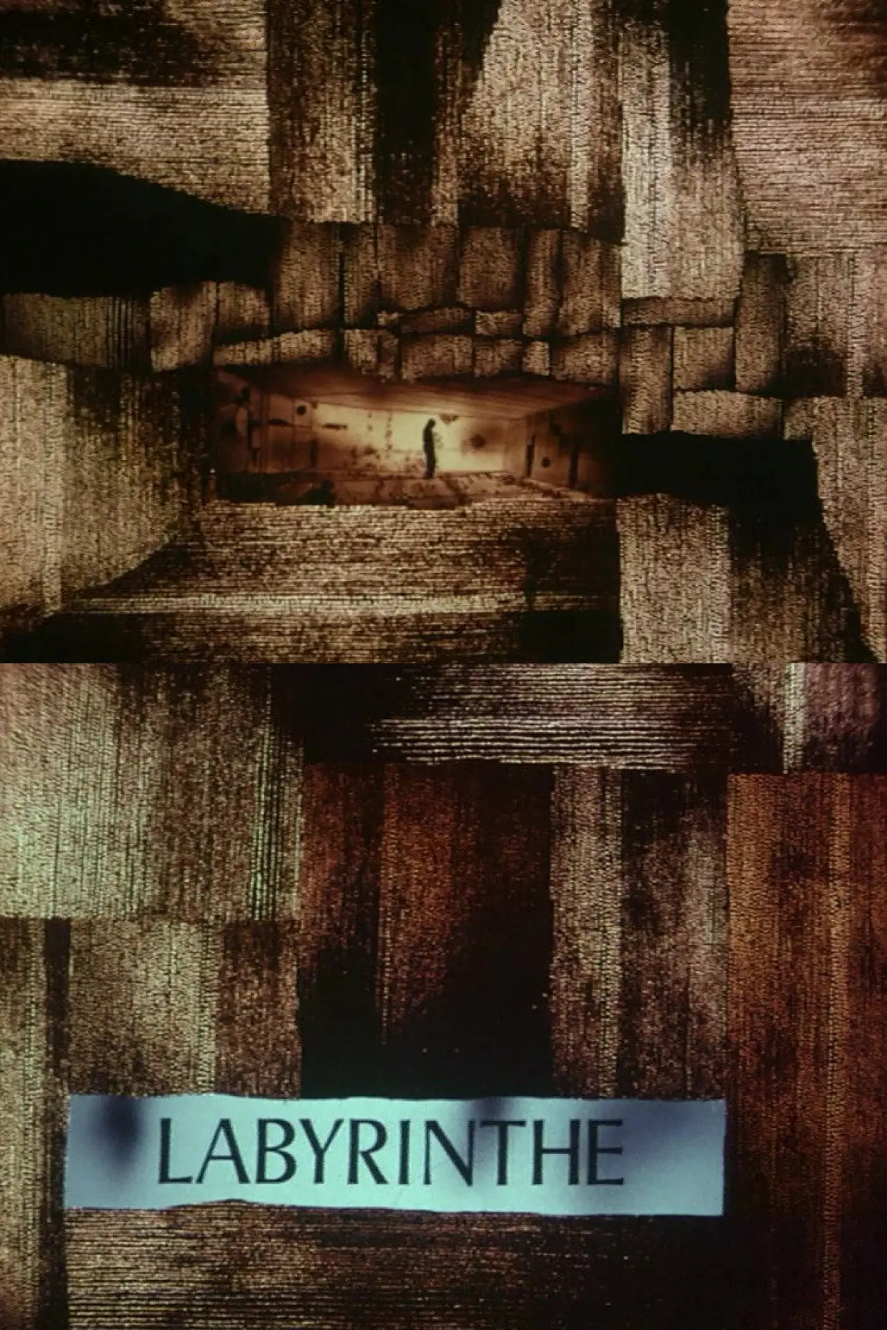 Постер к фильму "Le labyrinthe"