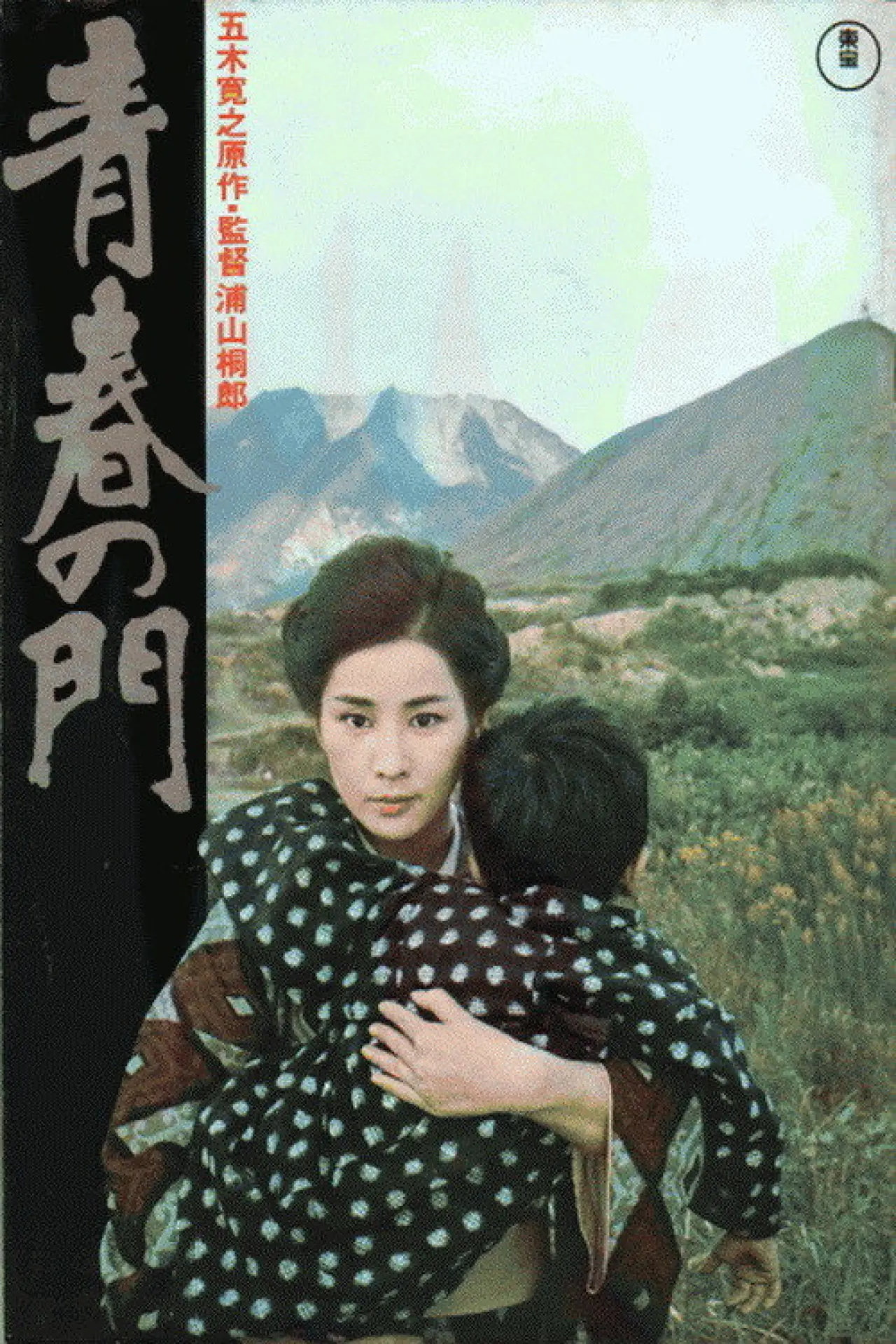 Постер к фильму "青春の門"