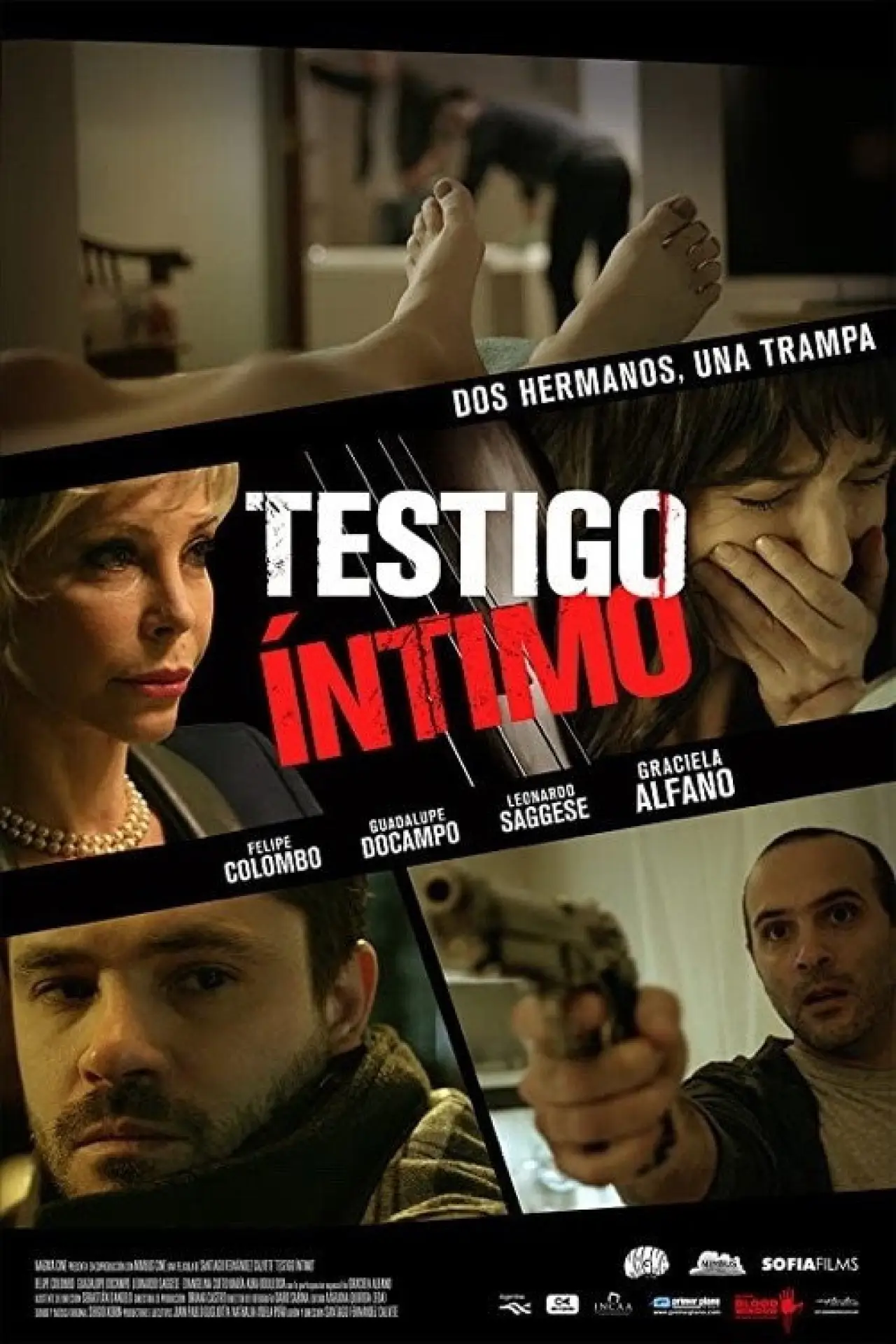 Постер к фильму "Testigo íntimo"