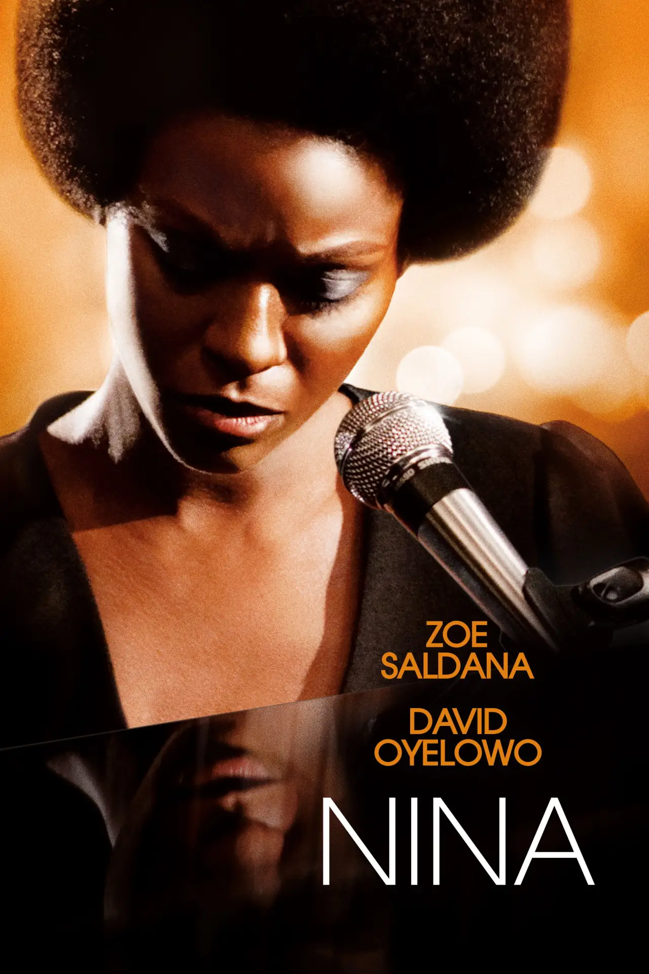 Постер к фильму "Nina"