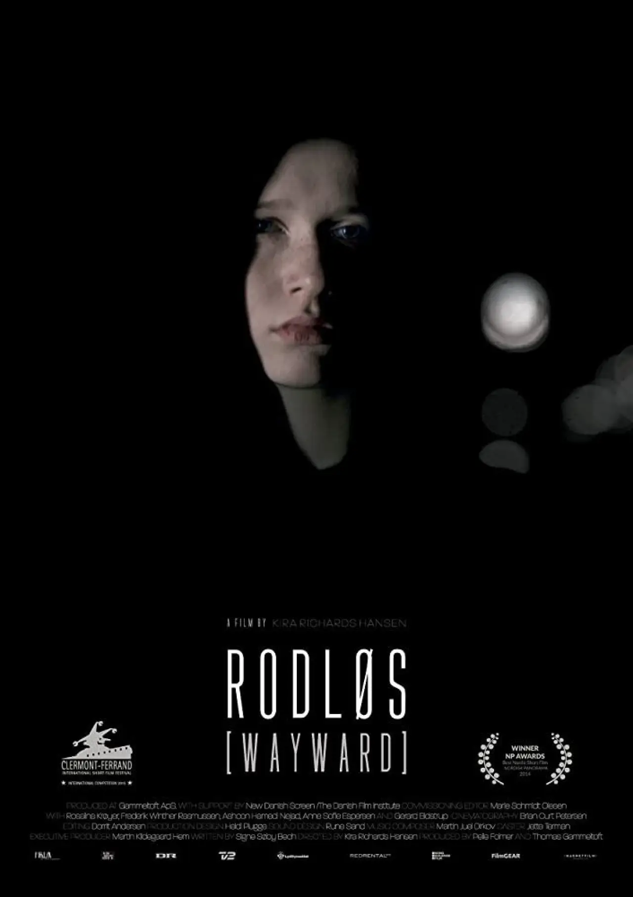 Постер к фильму "Rodløs"