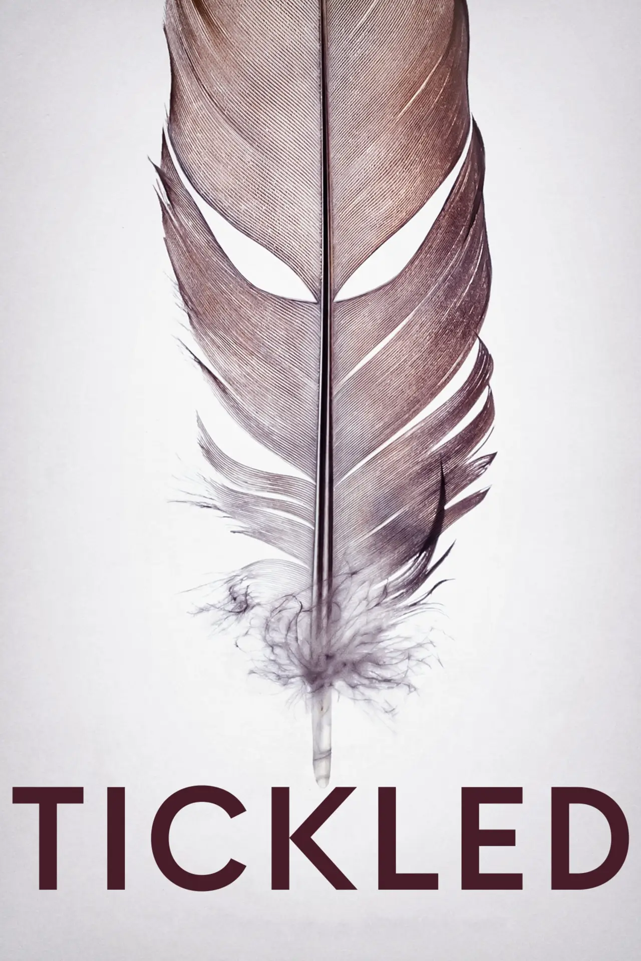 Постер к фильму "Tickled"