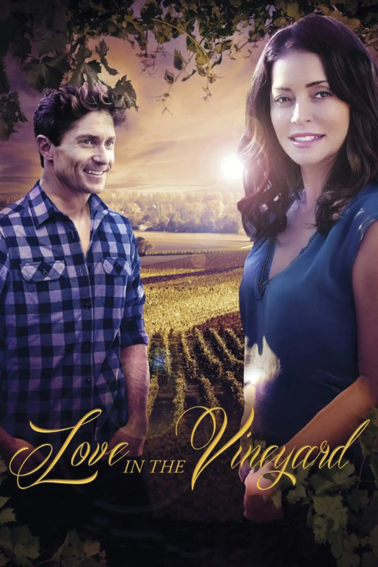 Постер к фильму "Love in the Vineyard"