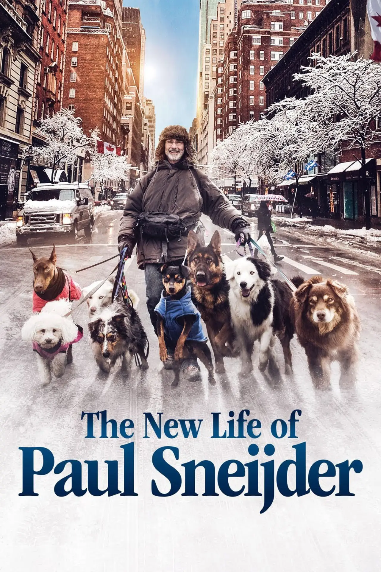 Постер к фильму "La Nouvelle Vie de Paul Sneijder"