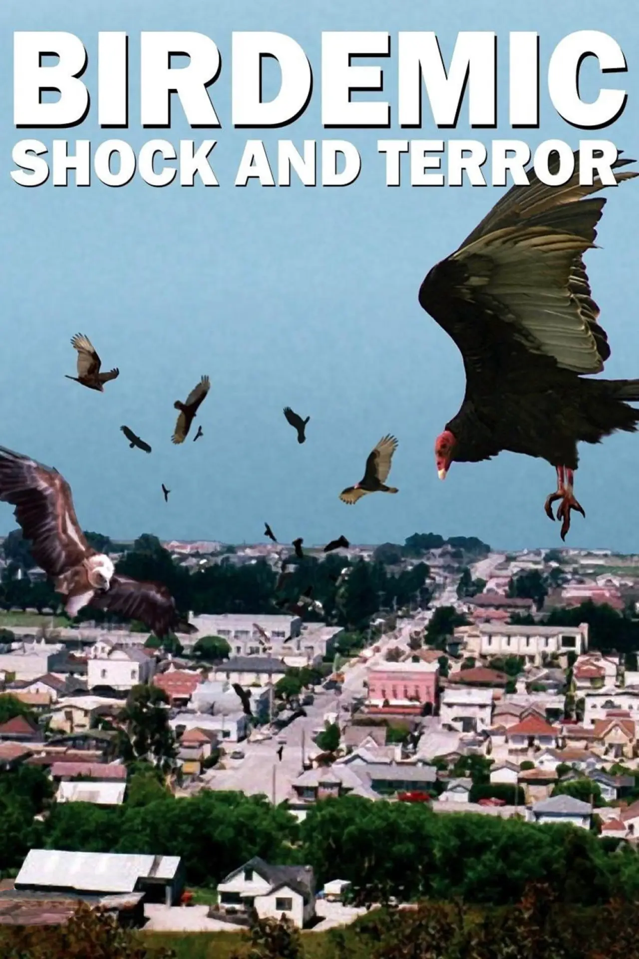 Постер к фильму "Birdemic: Shock and Terror"