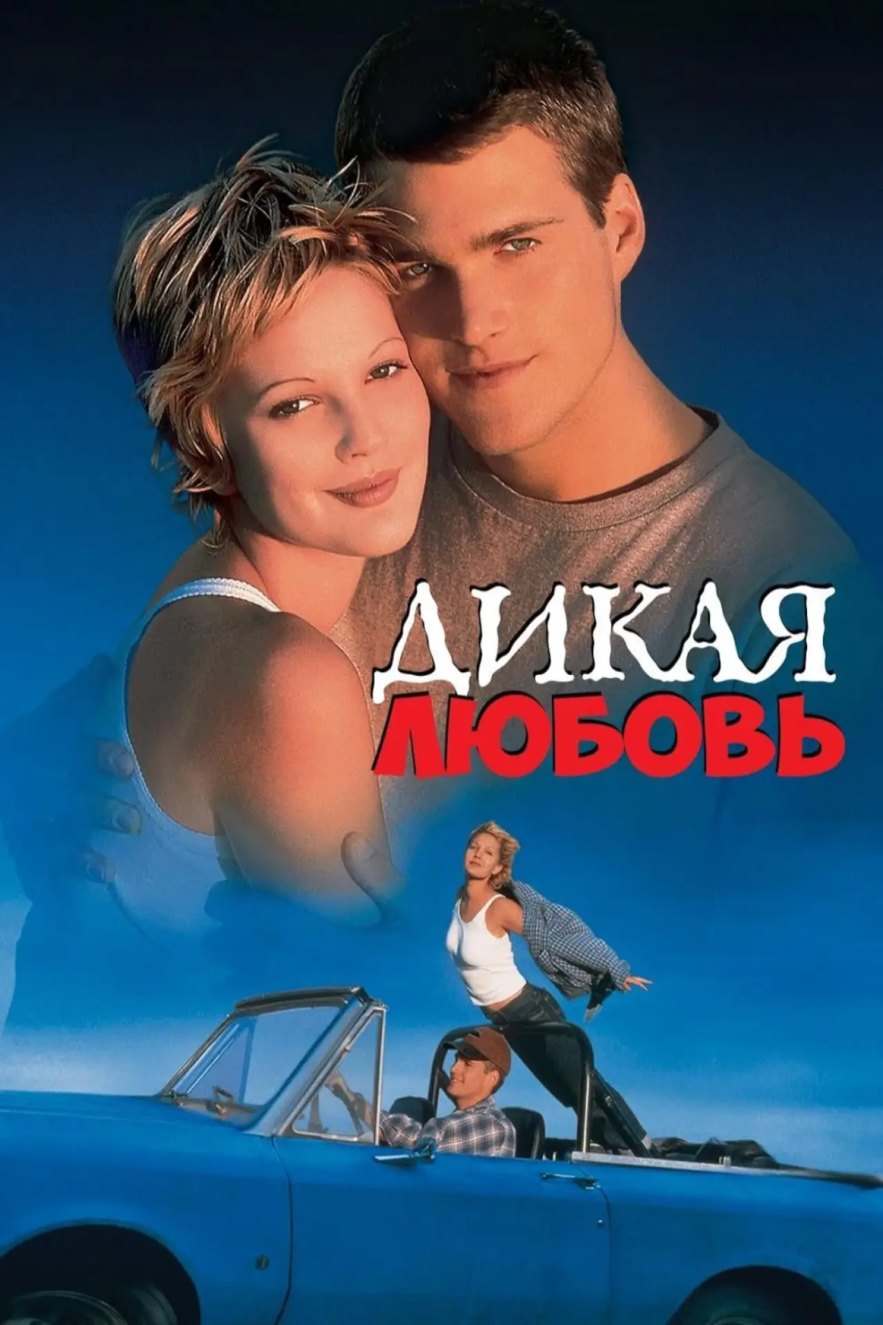 Постер к фильму "Дикая любовь"